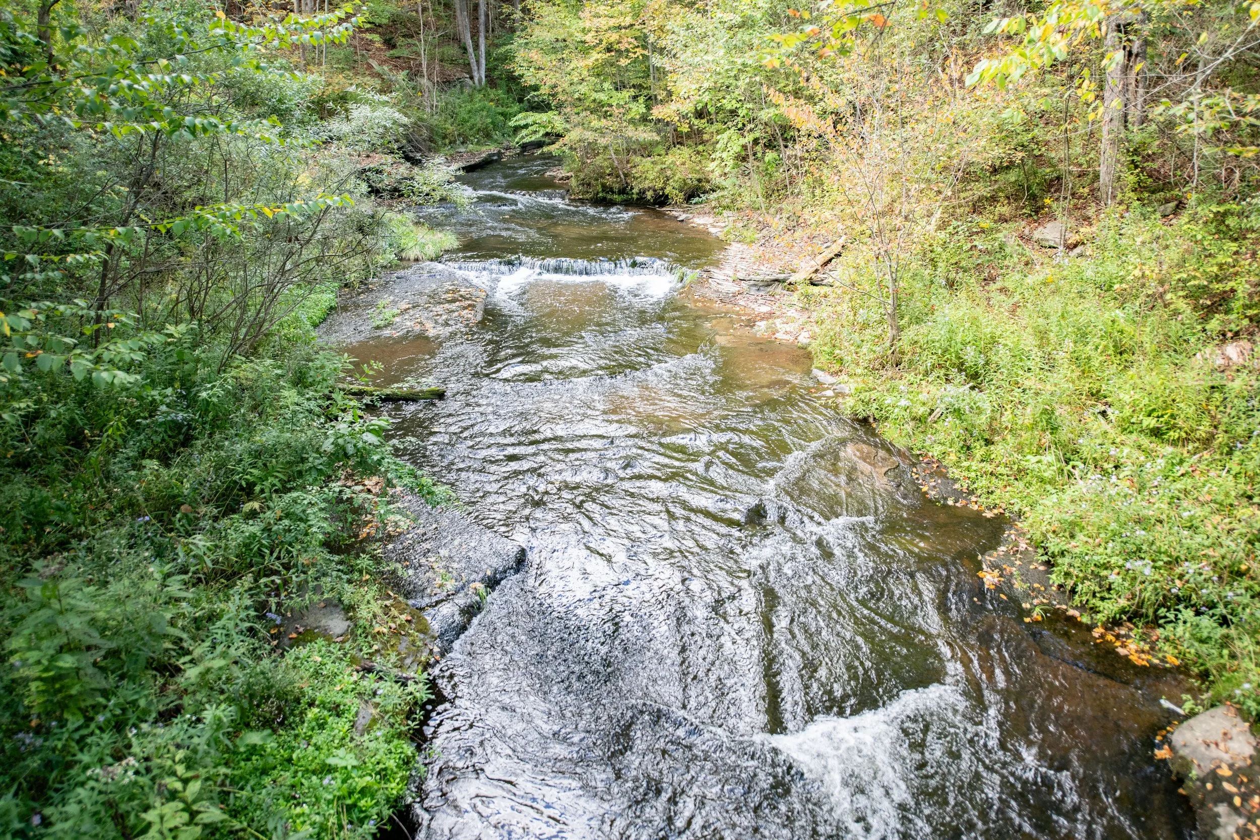 02 upstream.jpg
