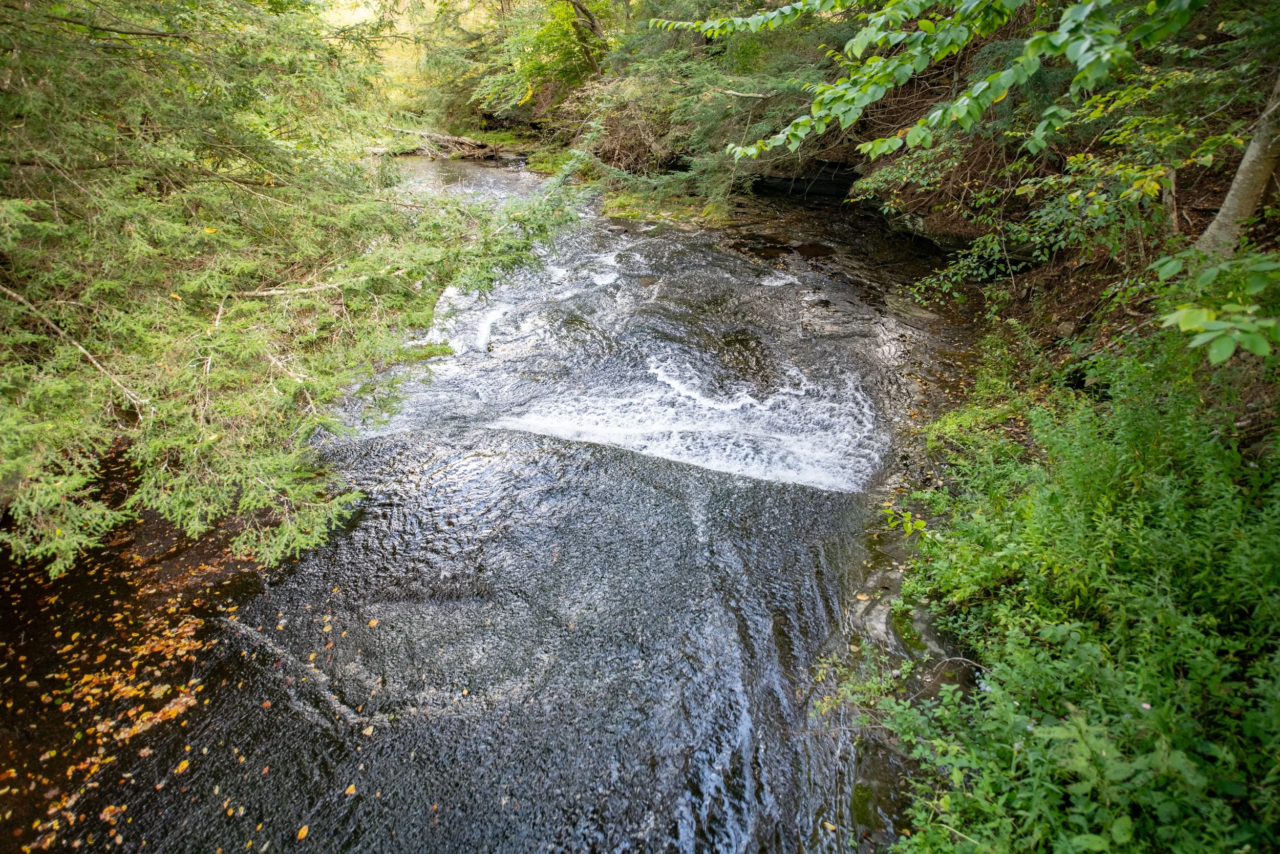 20 downstream.jpg
