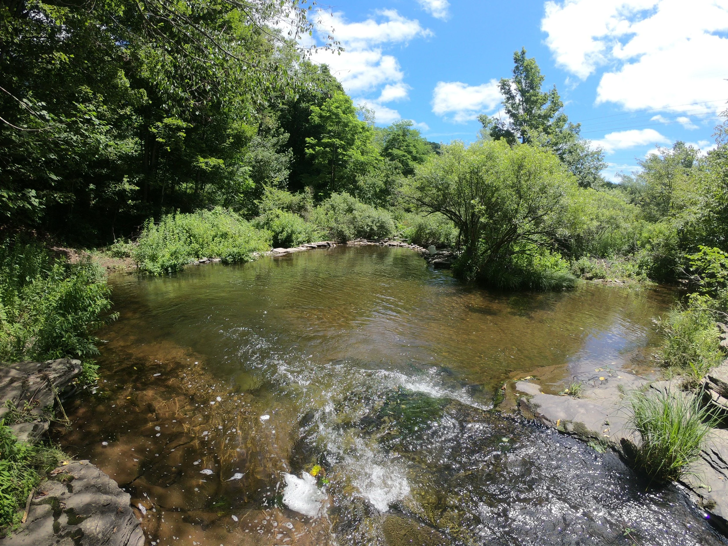 03 swimming hole 2.JPG