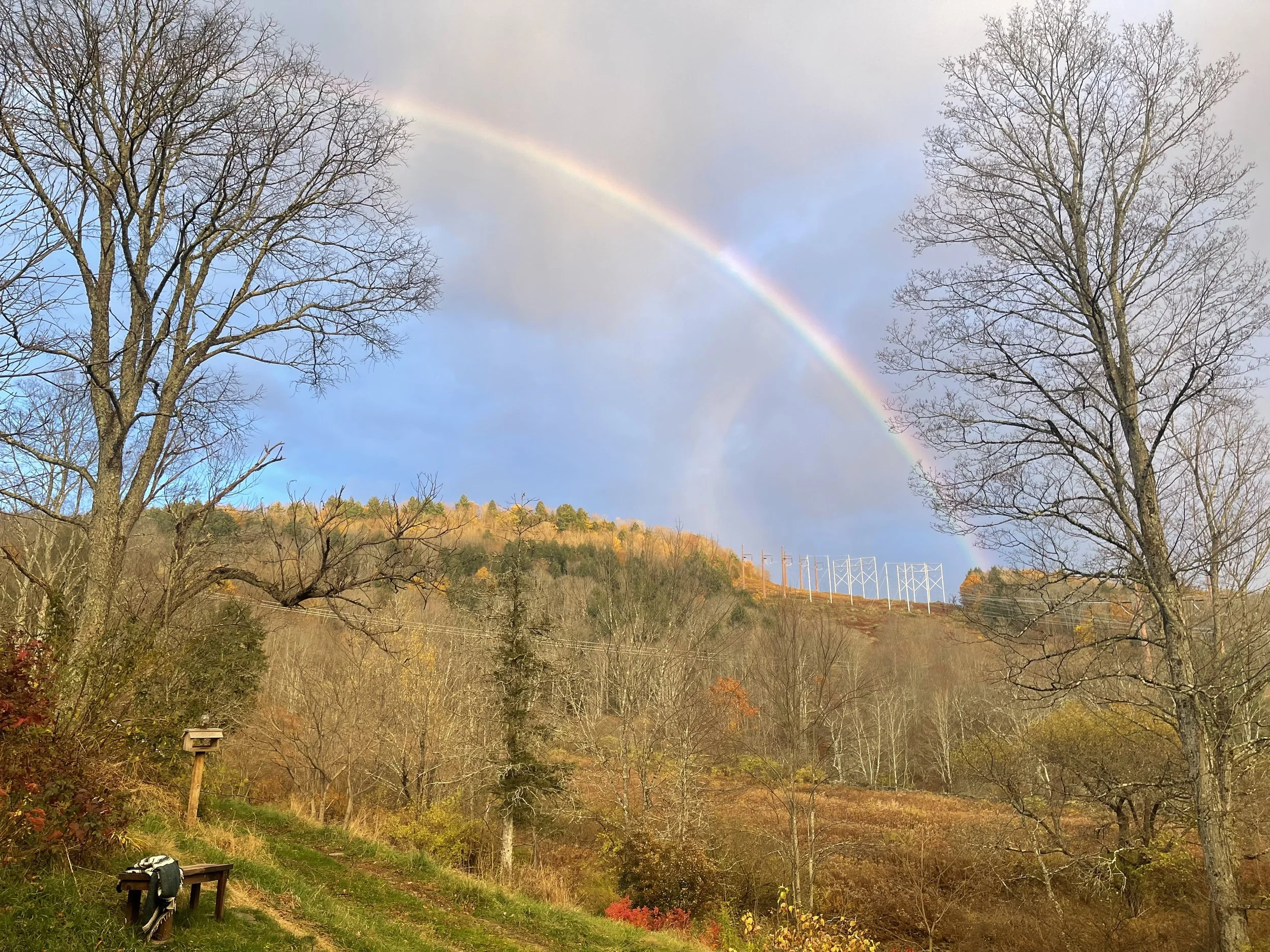 19 rainbow.jpeg