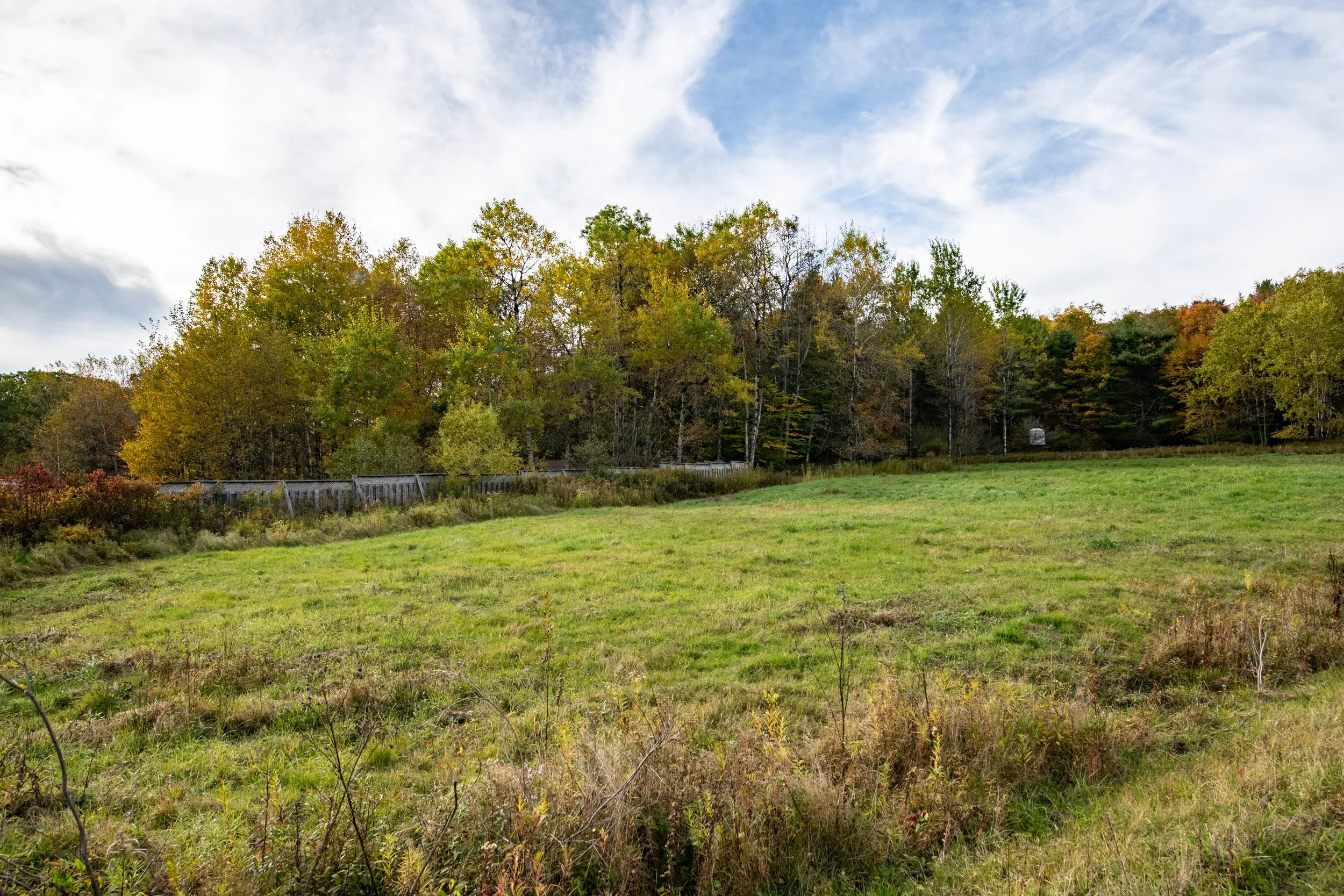 05 privacy-fence.jpg