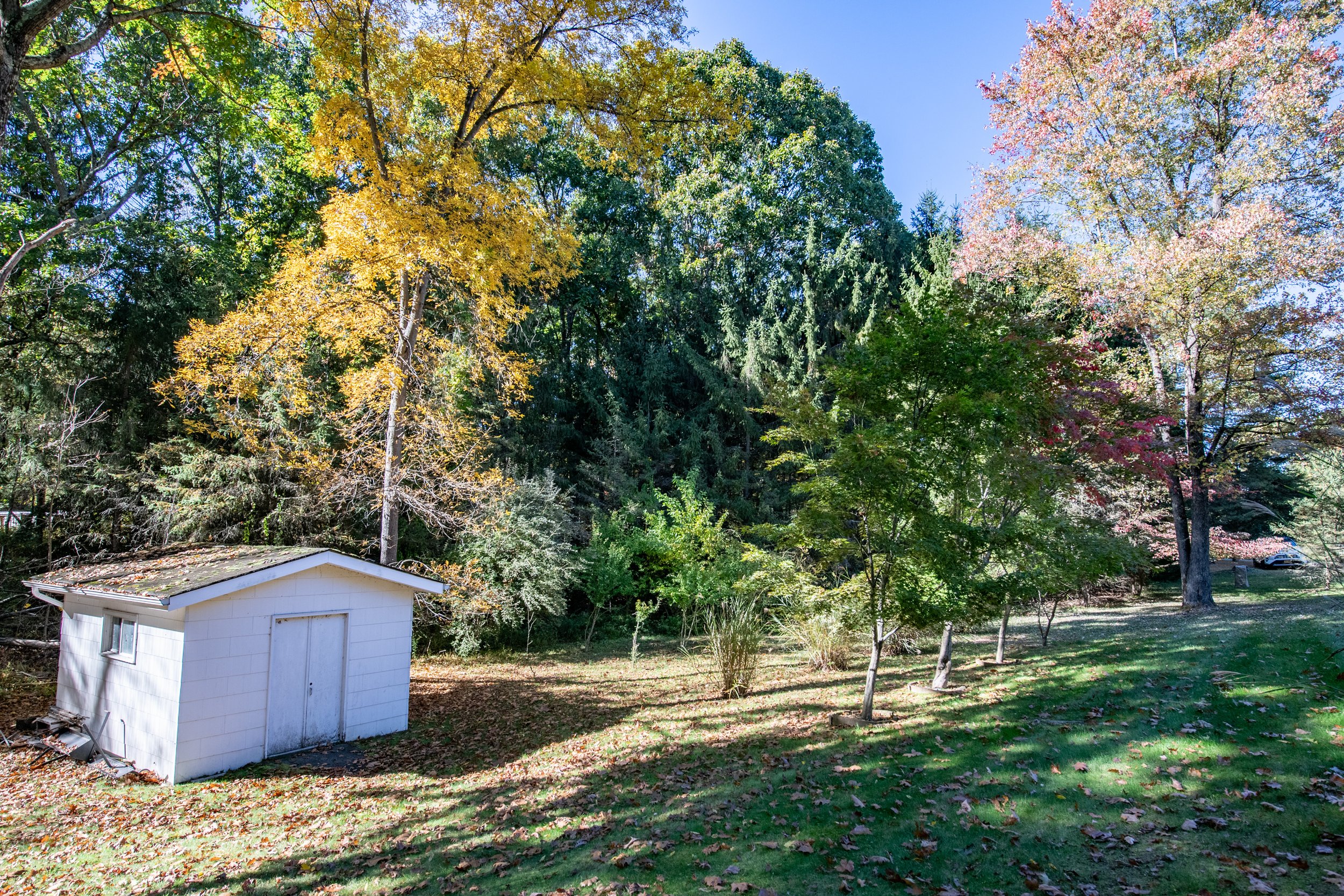 22-white-shed.jpg