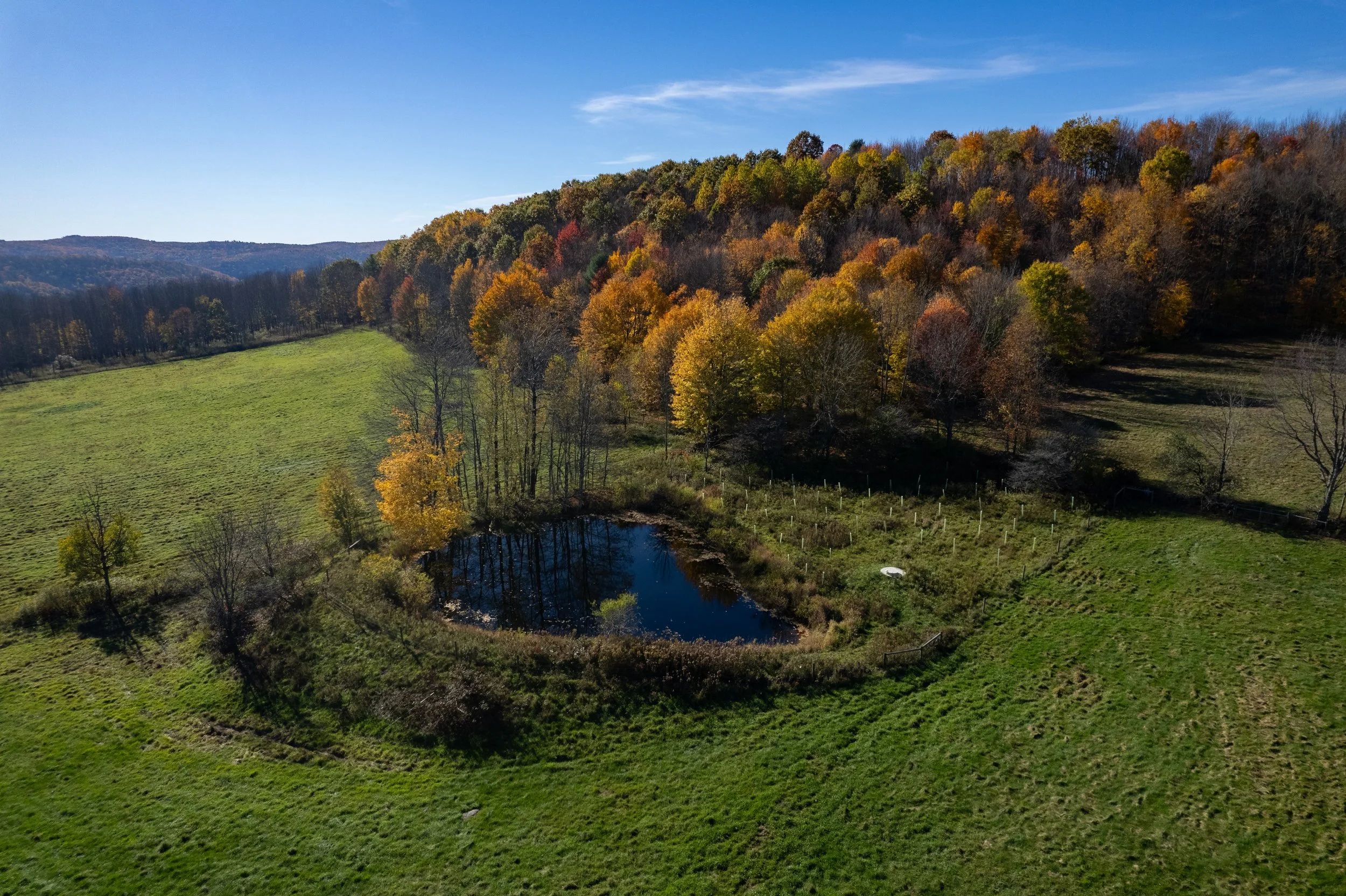 08_dji-pond.jpg