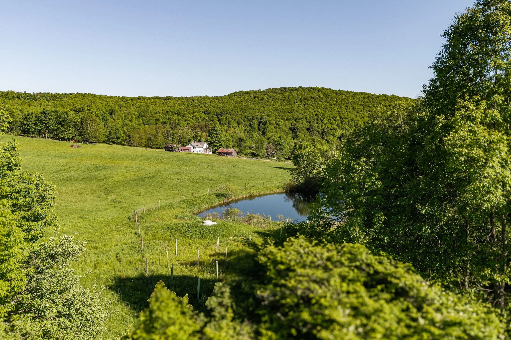 09_pond_oak_hill.jpg