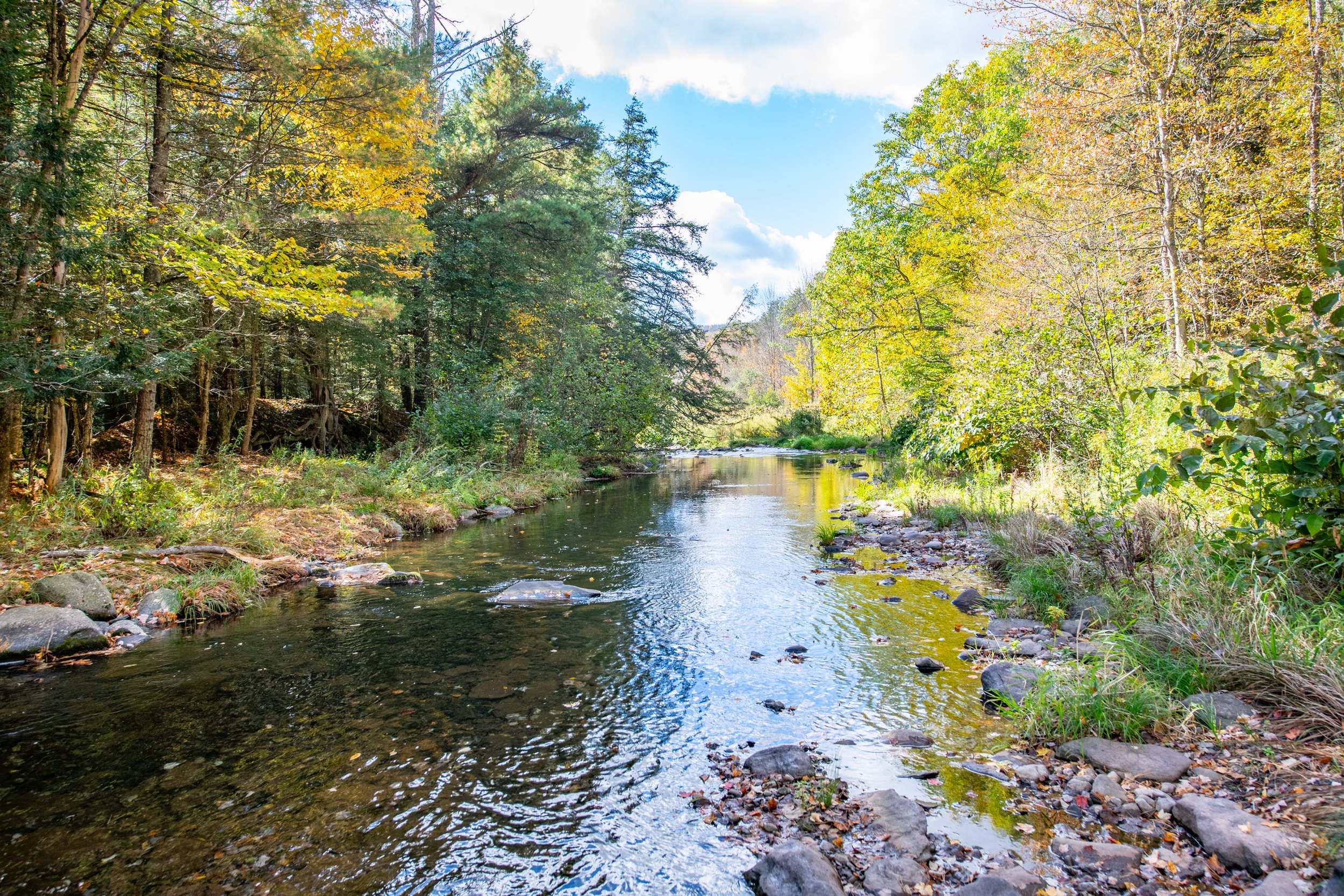 00 downstream.jpg