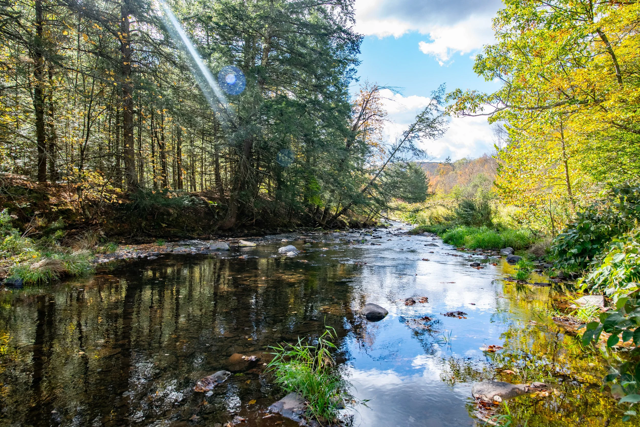 02 further-downstream.jpg