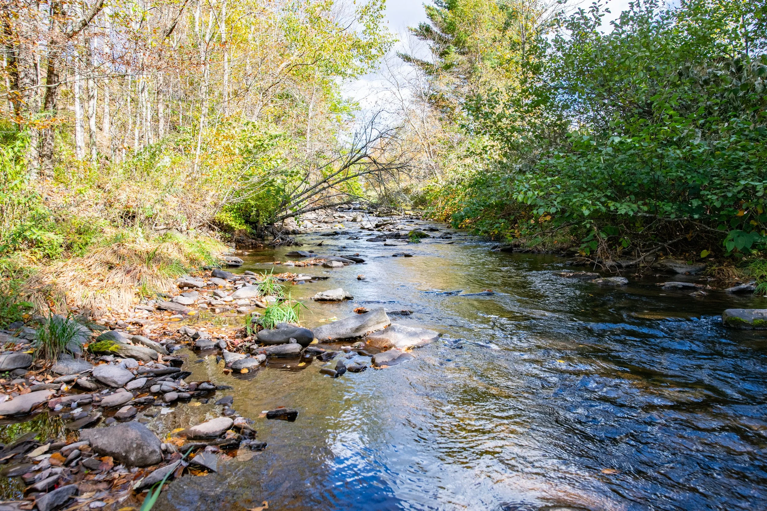 04 upstream.jpg