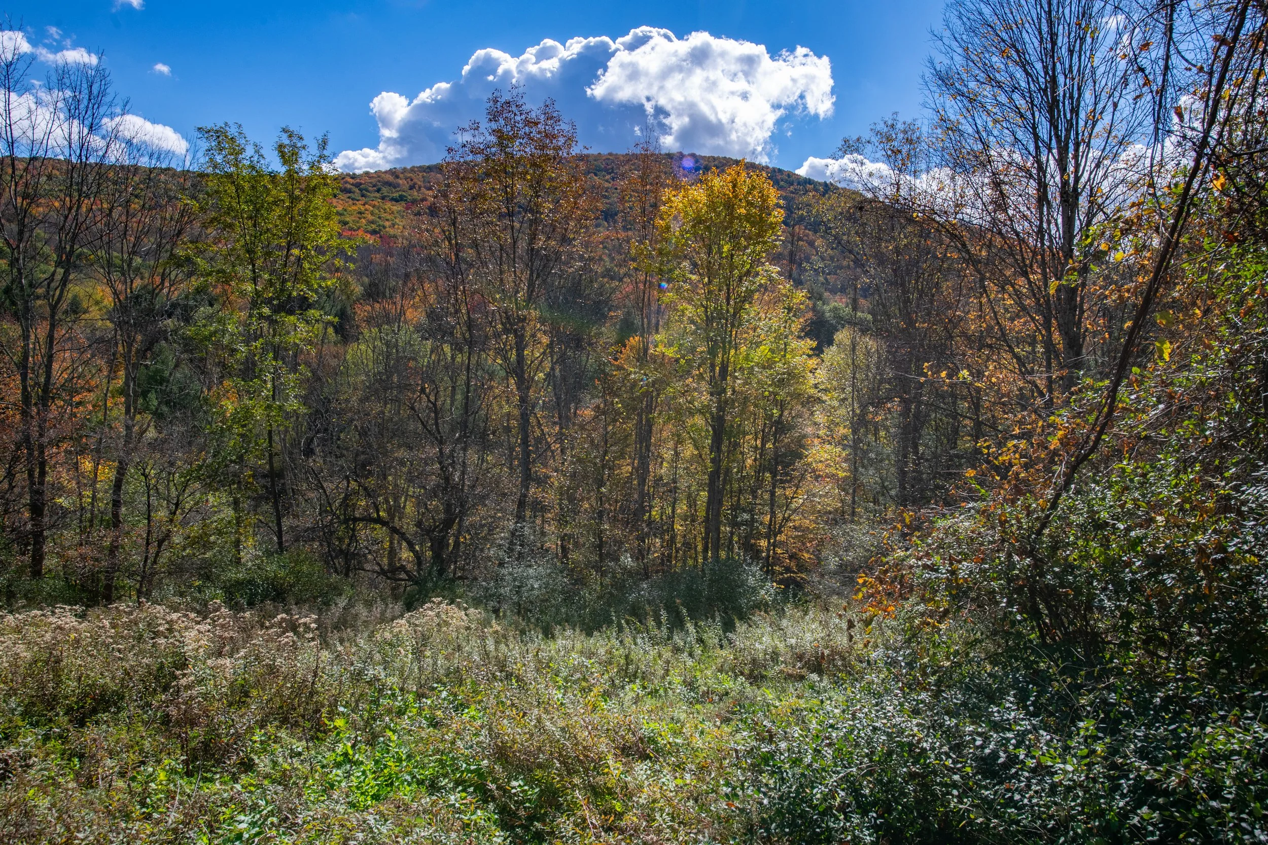 06 mountain-view.jpg