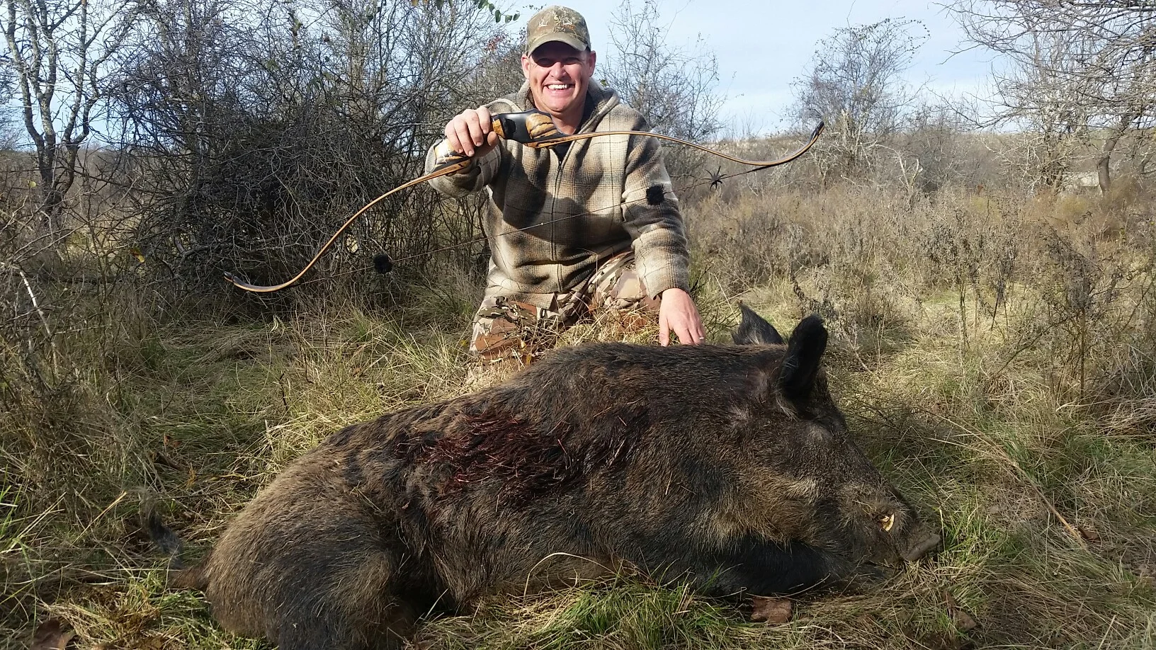 BB Pig.jpg