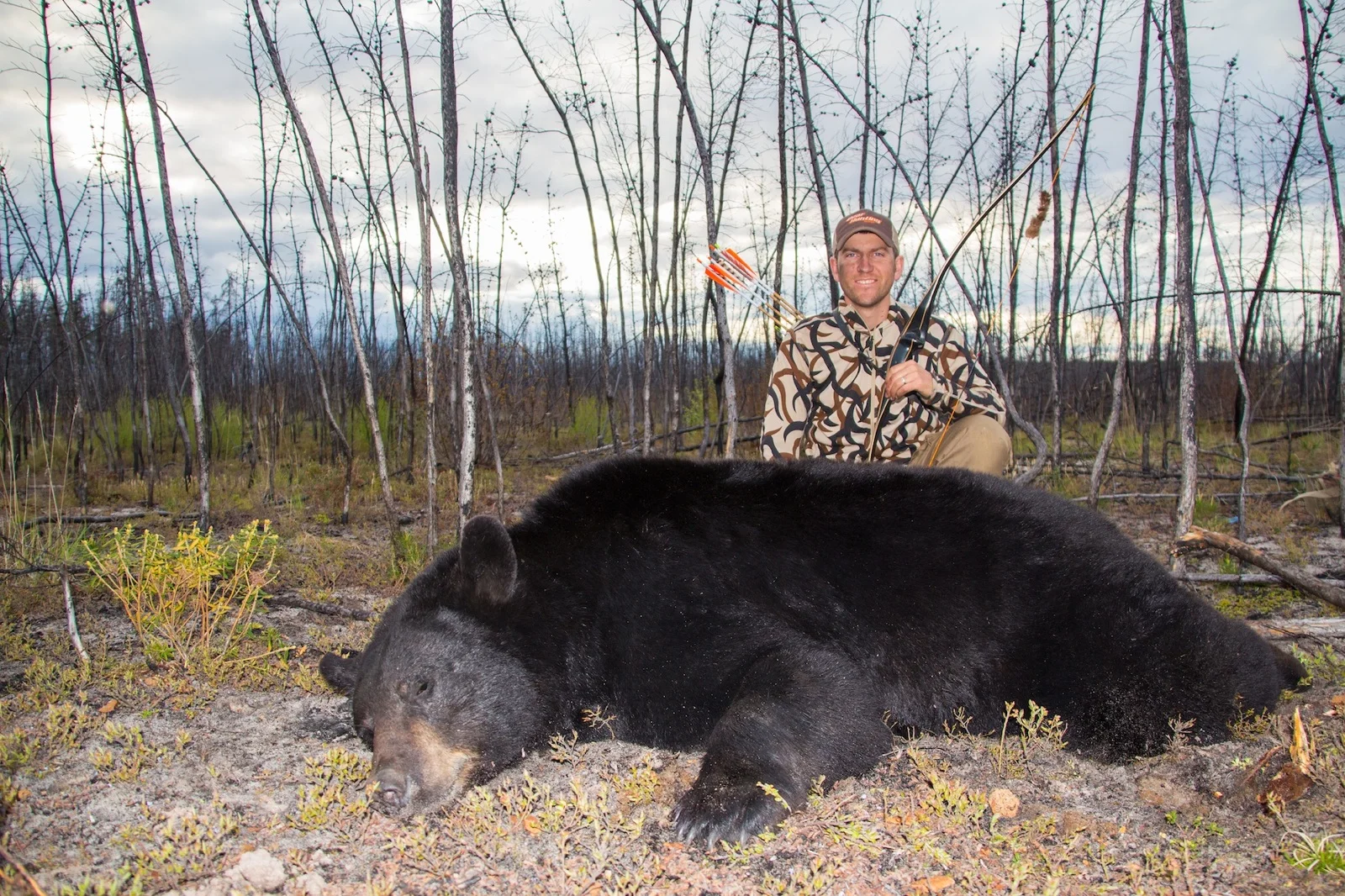CN Bear2.jpg