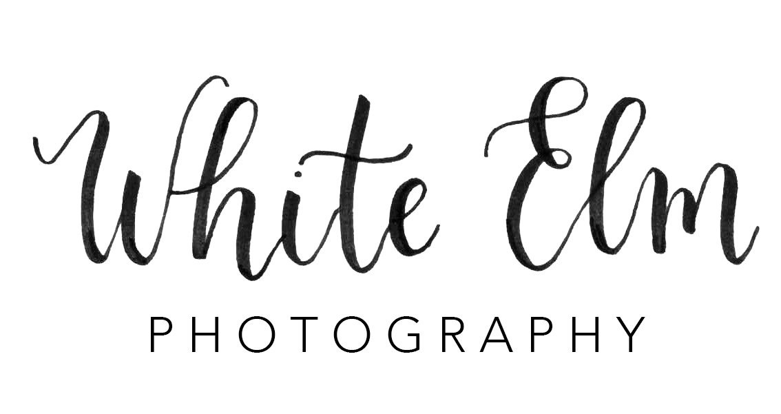 White Elm Photography