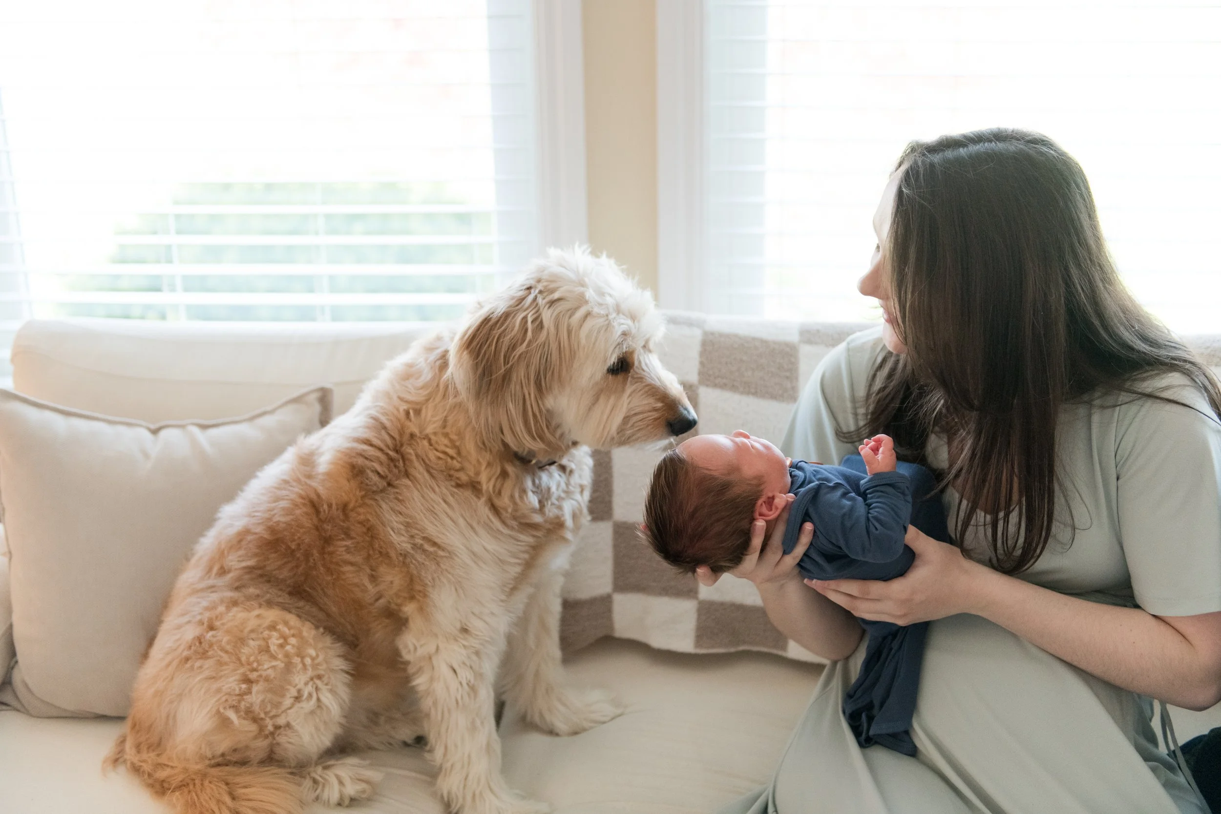 Kallen | Lifestyle Newborn Photography Dublin Ohio