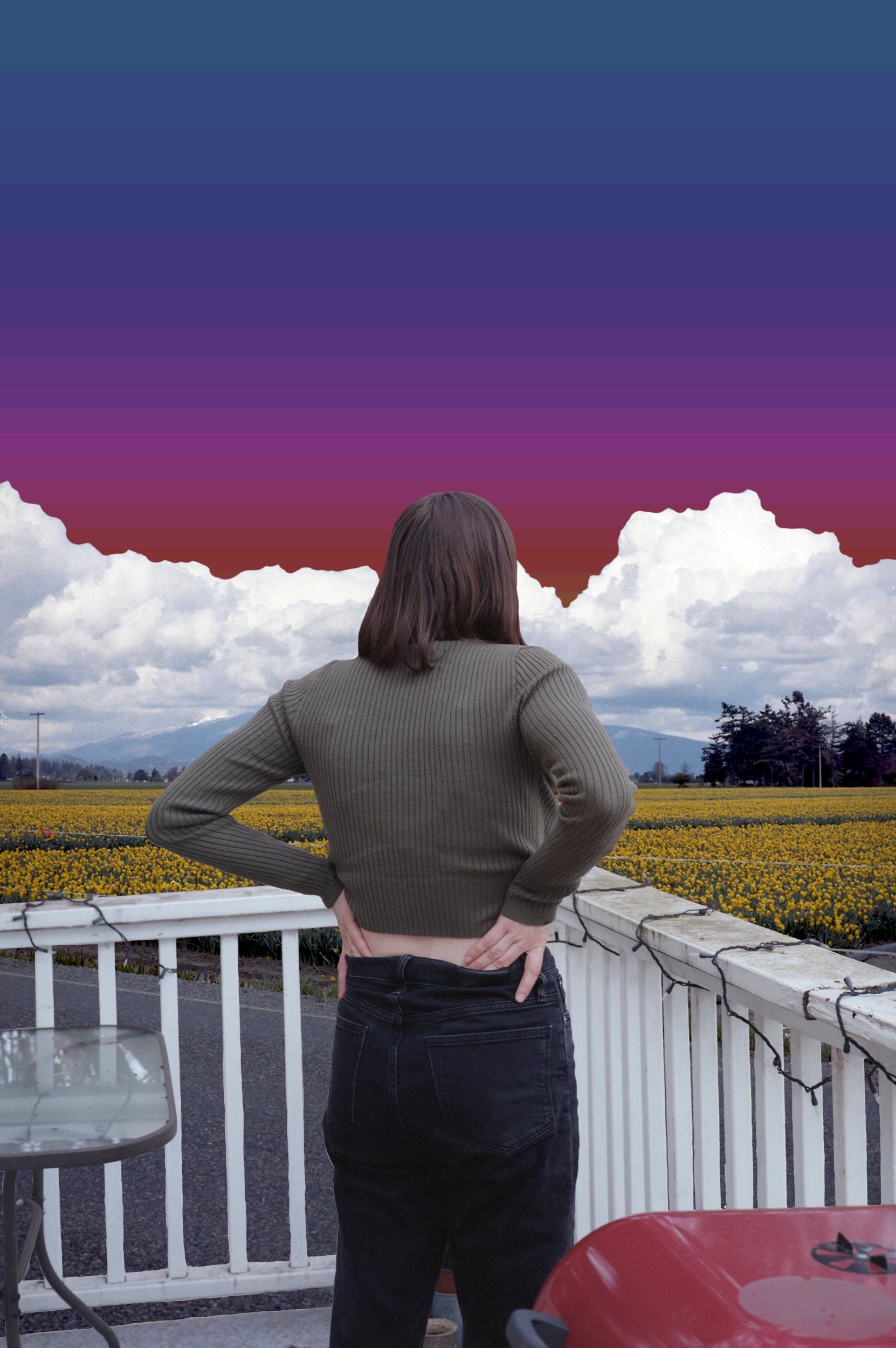 Chloe / Skagit Valley Digital Collage, 2023