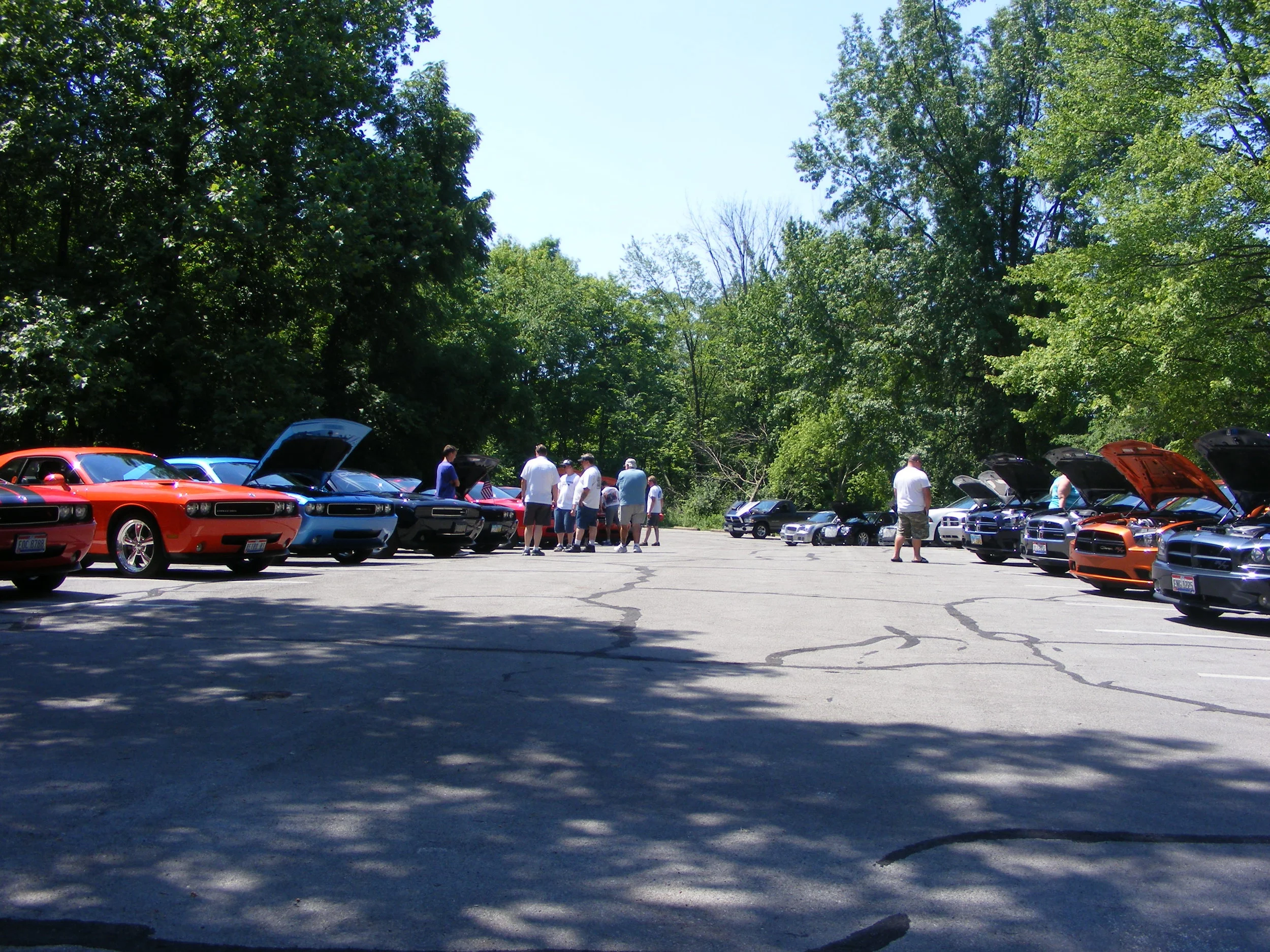 8th Annual Club Picnic