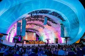 Voices for Children Starry Starry Night Gala