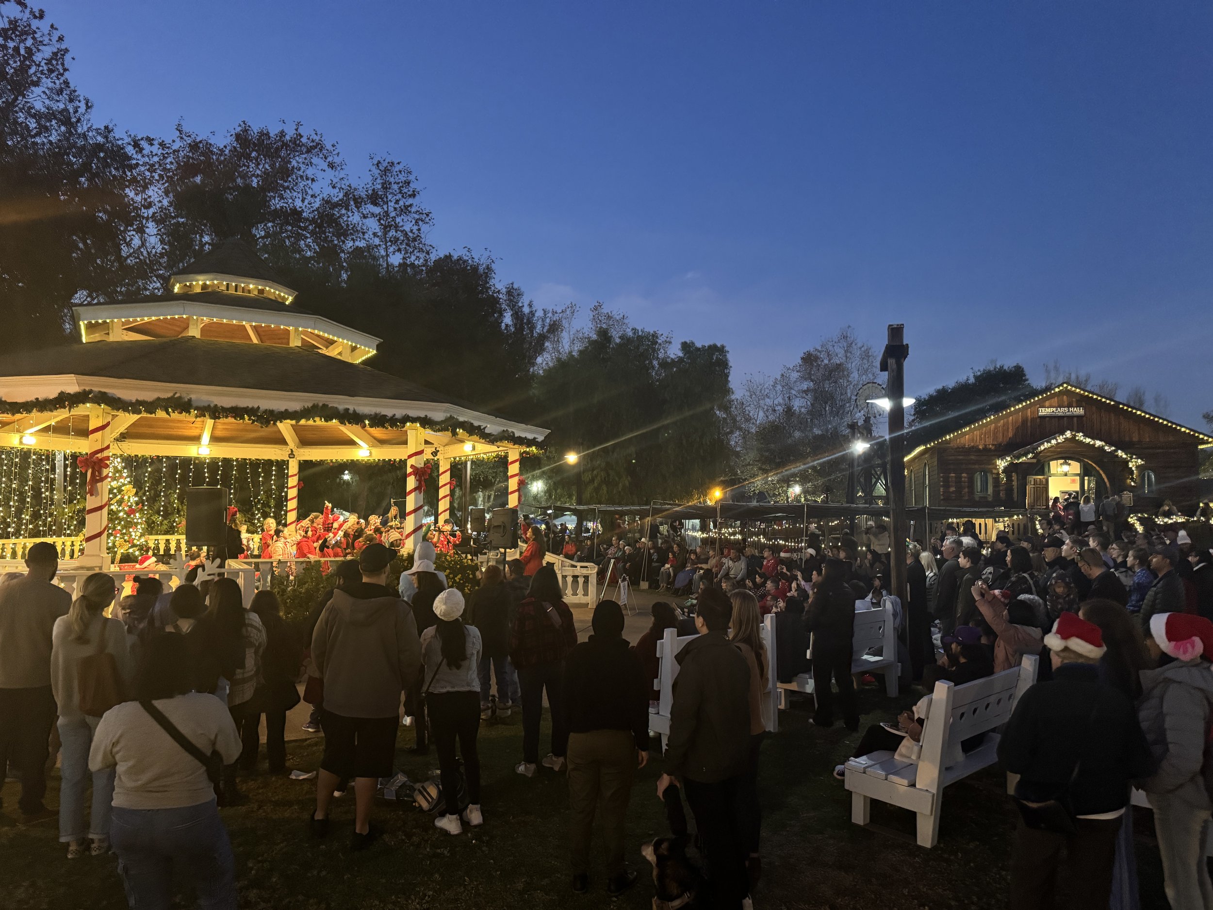 Christmas in the Park - Holiday Performance