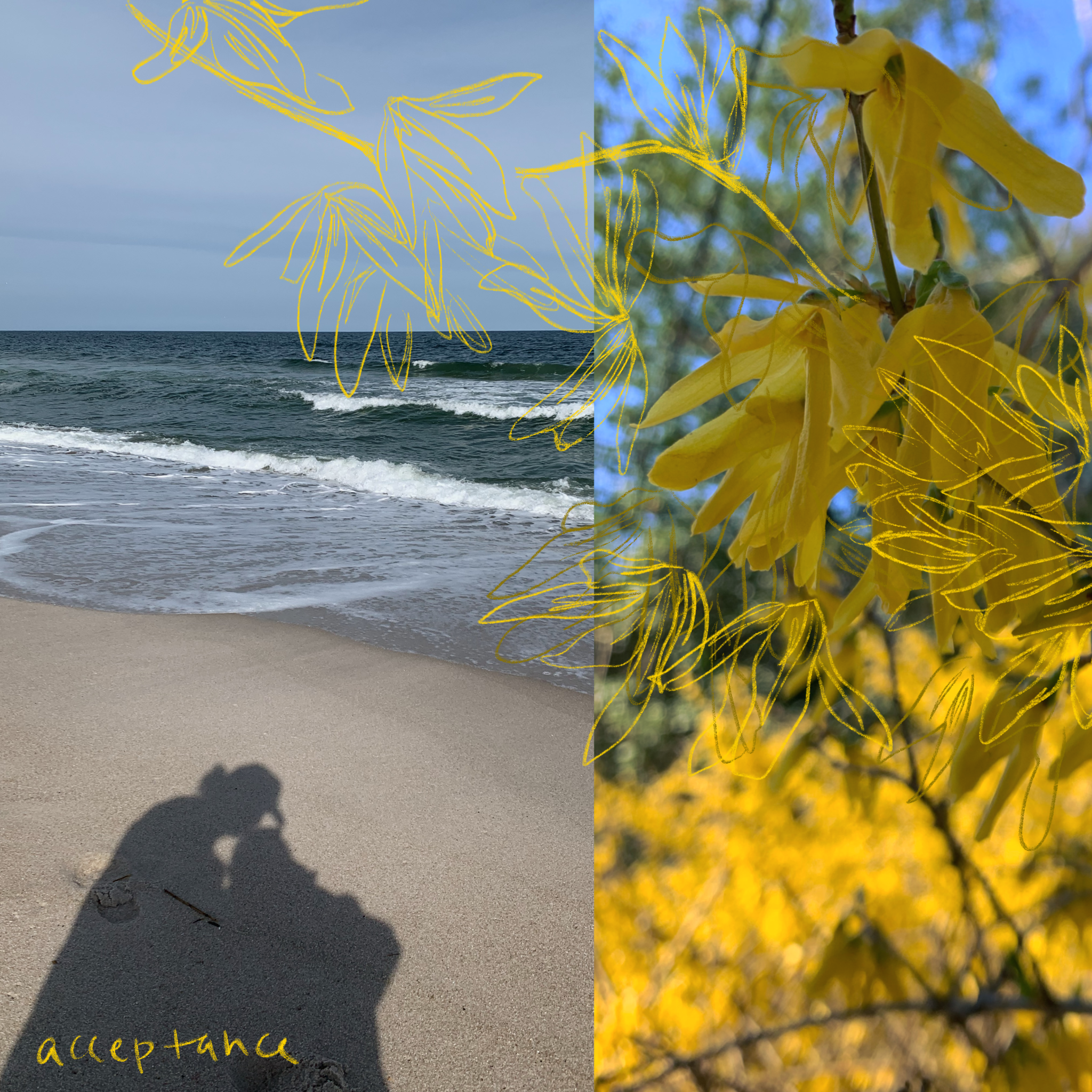 Untitled_Artwork 14.PNG