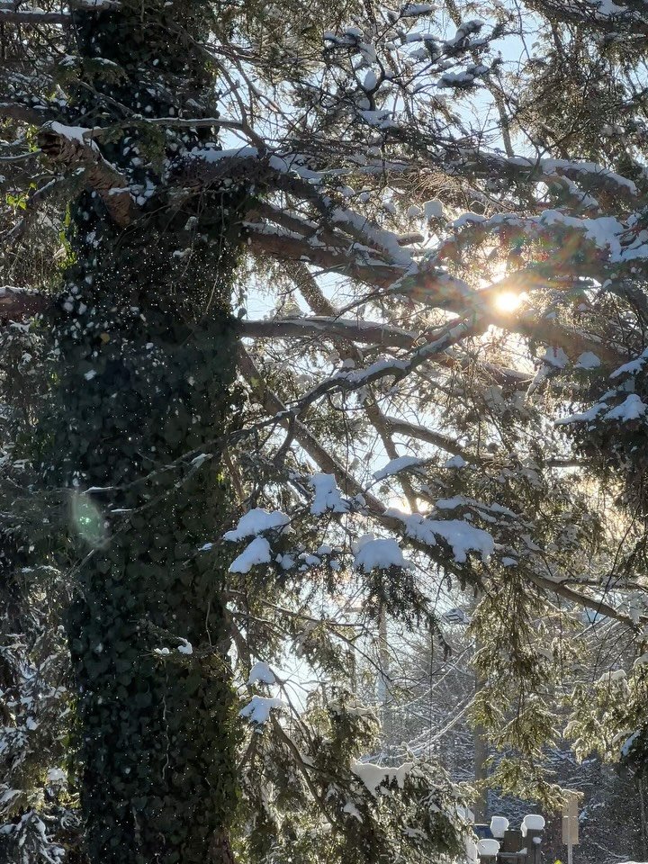 love u december ❄️☃️