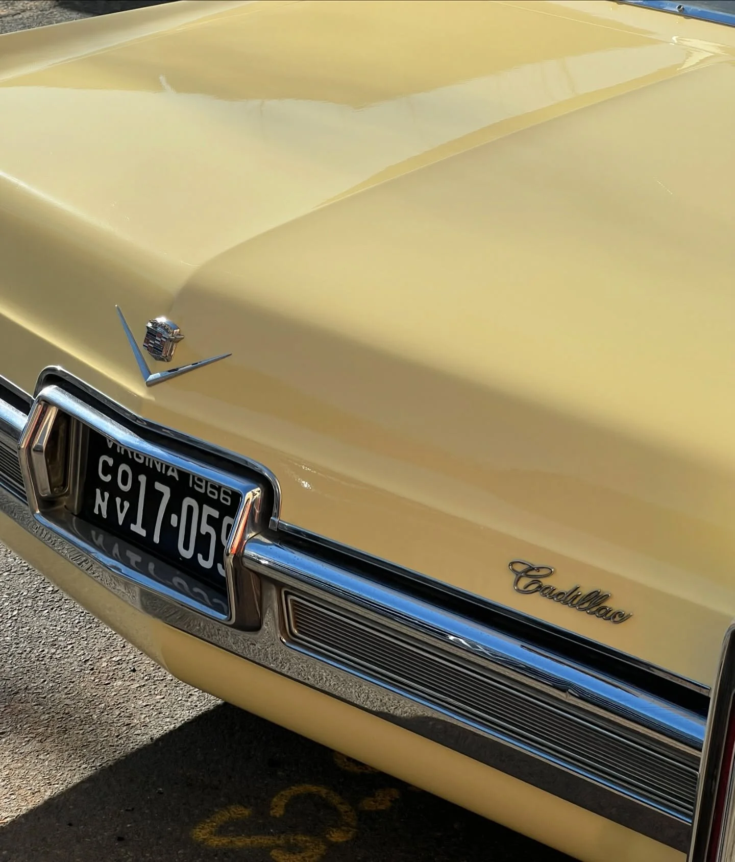 february into march 🍀