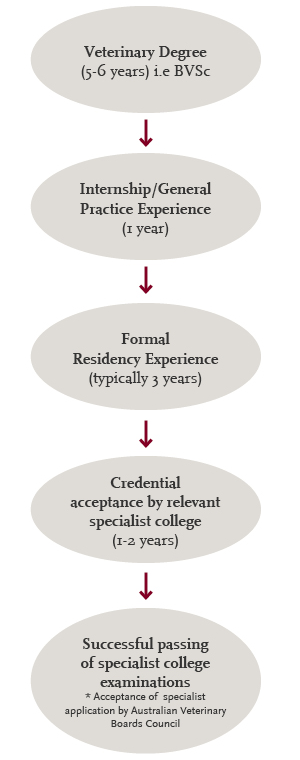 training-diagram.gif