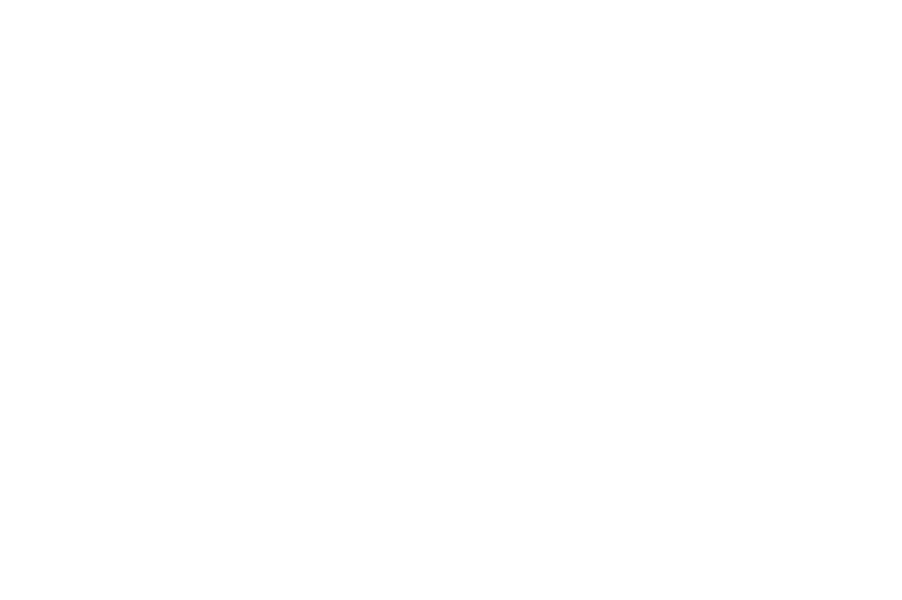 Queensland Veterinary Specialists