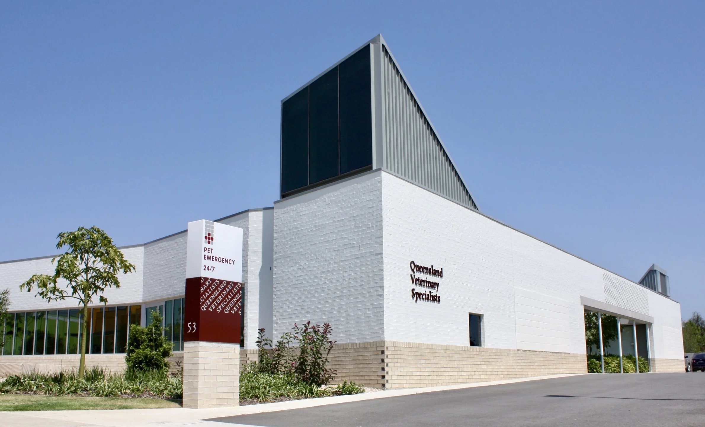 best taurine supplement for cats