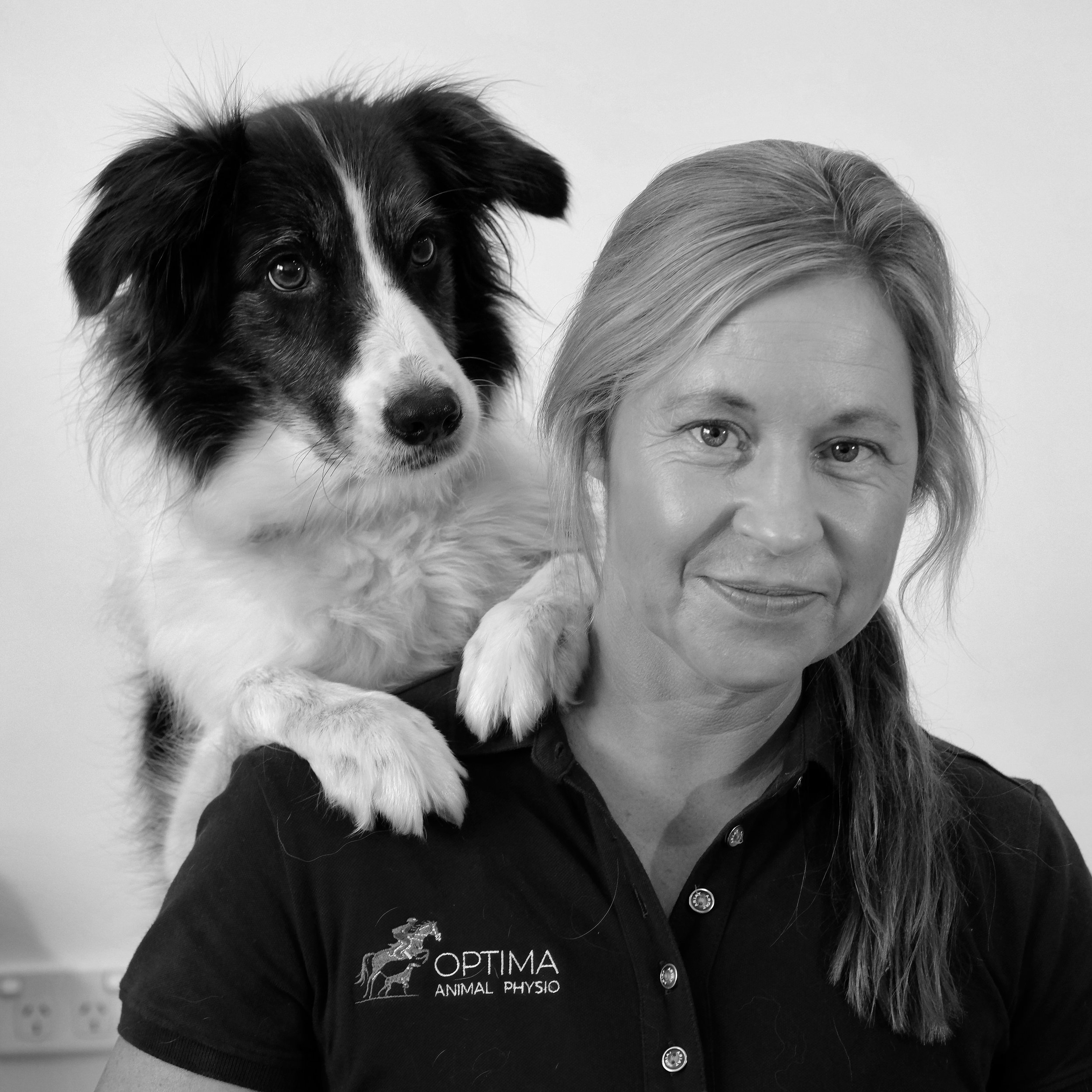 Physiotherapy — Queensland Veterinary Specialists