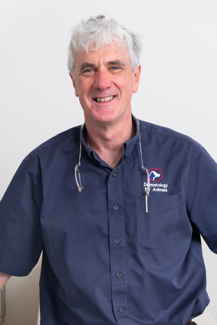 Dermatology — Queensland Veterinary Specialists