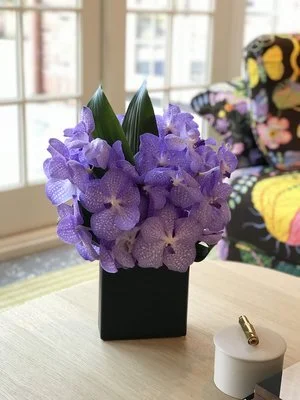 Vanda Orchid