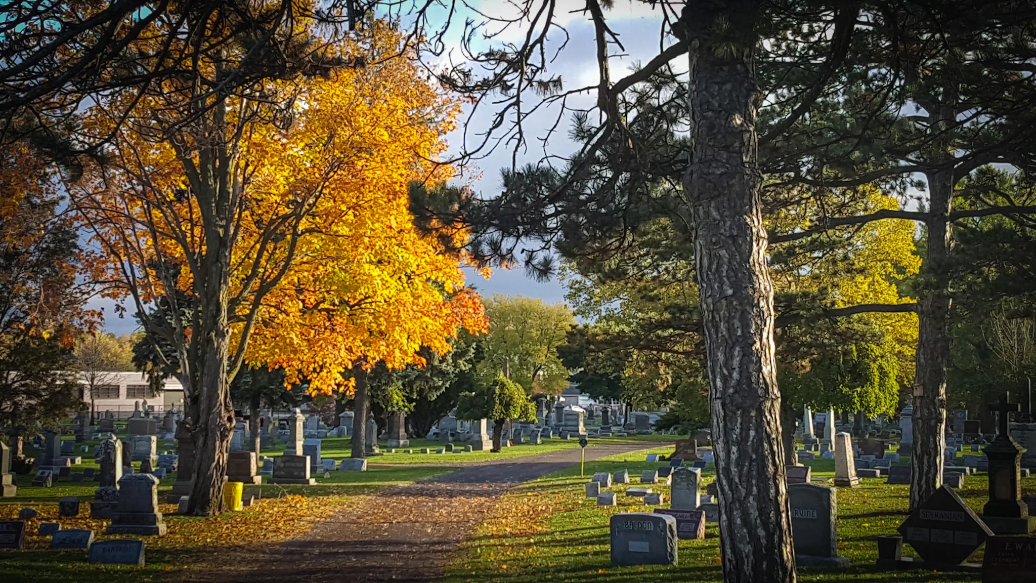 LRM_EXPORT_20161028_094308.jpg