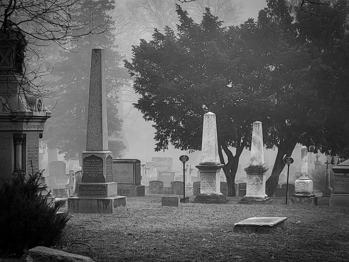 Foggy morning #oakwoodniagara #livenf #discover_niagara #cemeterylovers #cemeteryphotography