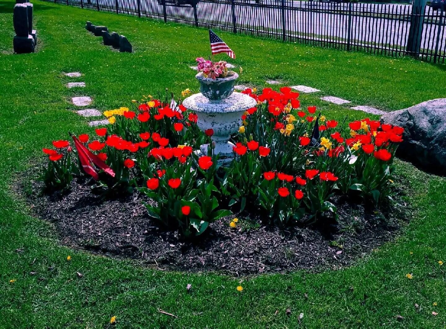 Spring tulips. #oakwoodniagara #niagarafallsusa #discover_niagara #livenf #cemeteryphotography