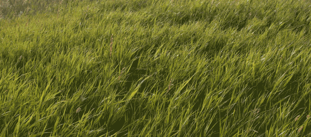 GP-logo-Emily-v4.gif