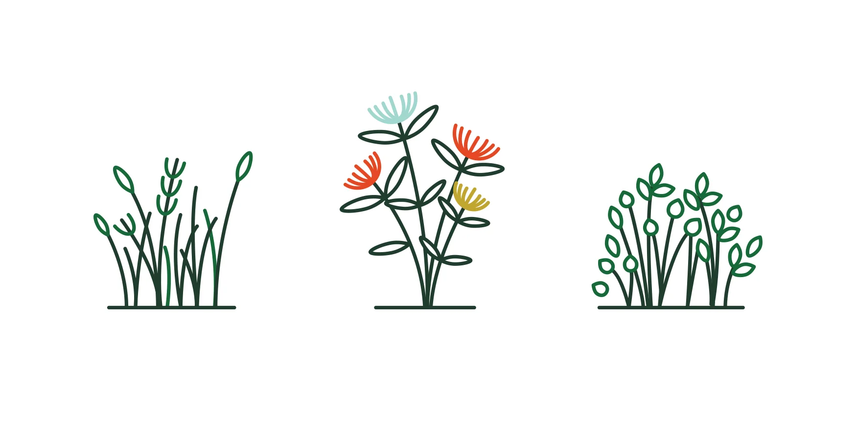 Flower Illustrations_Emily Mullett.jpg