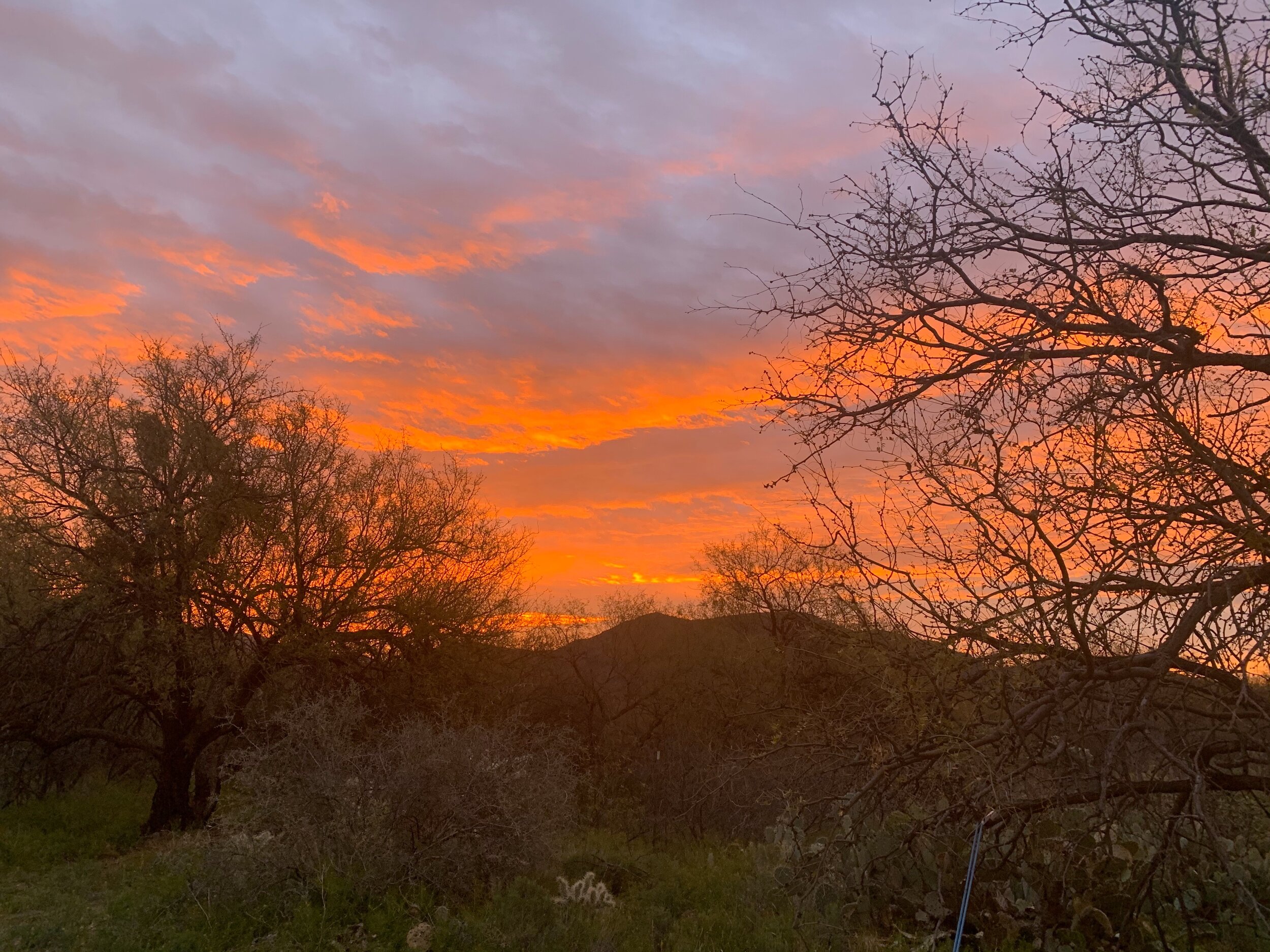 Sunrise from my bedroom window