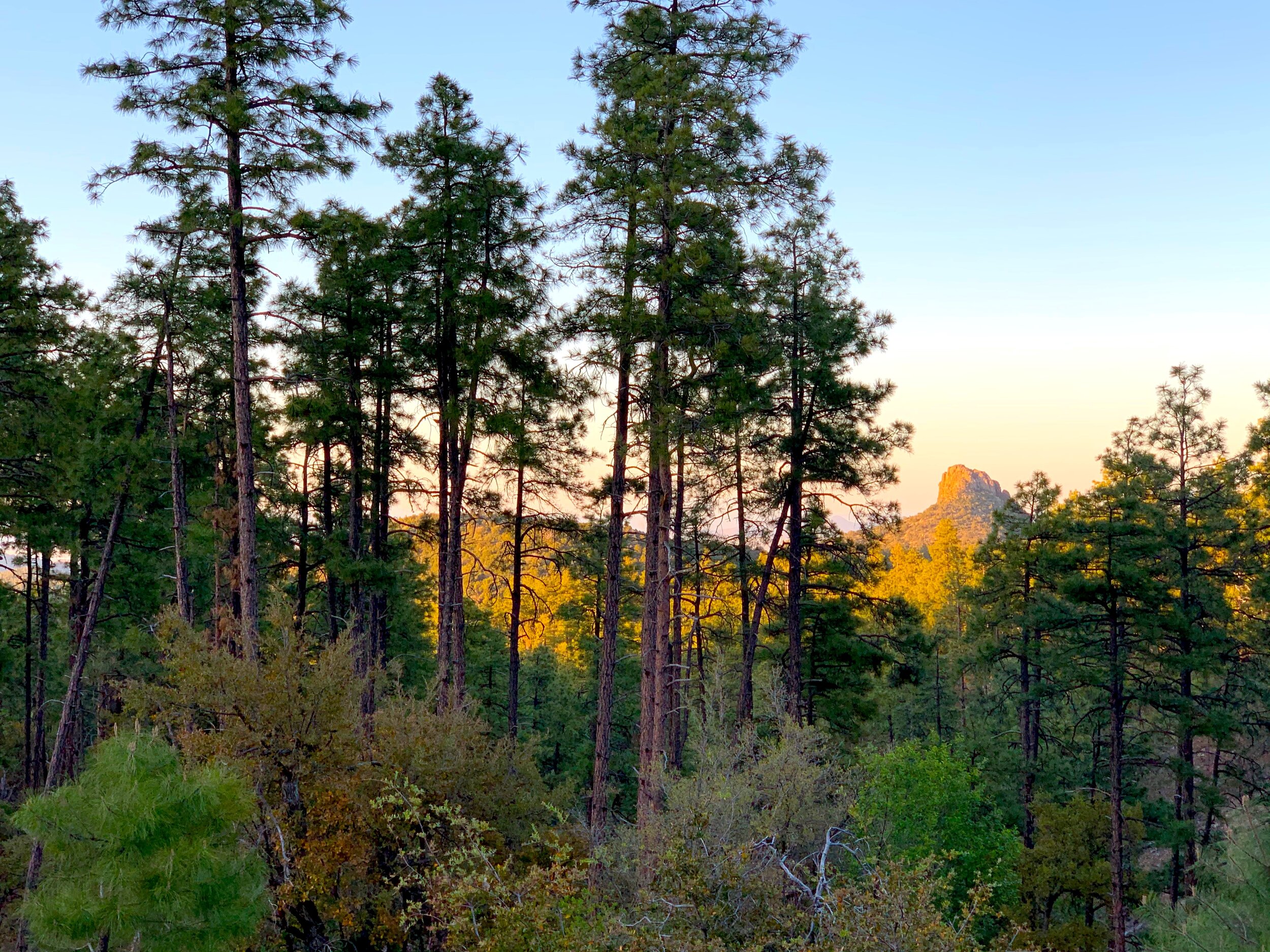 Thumb Butte, Prescott National Forest