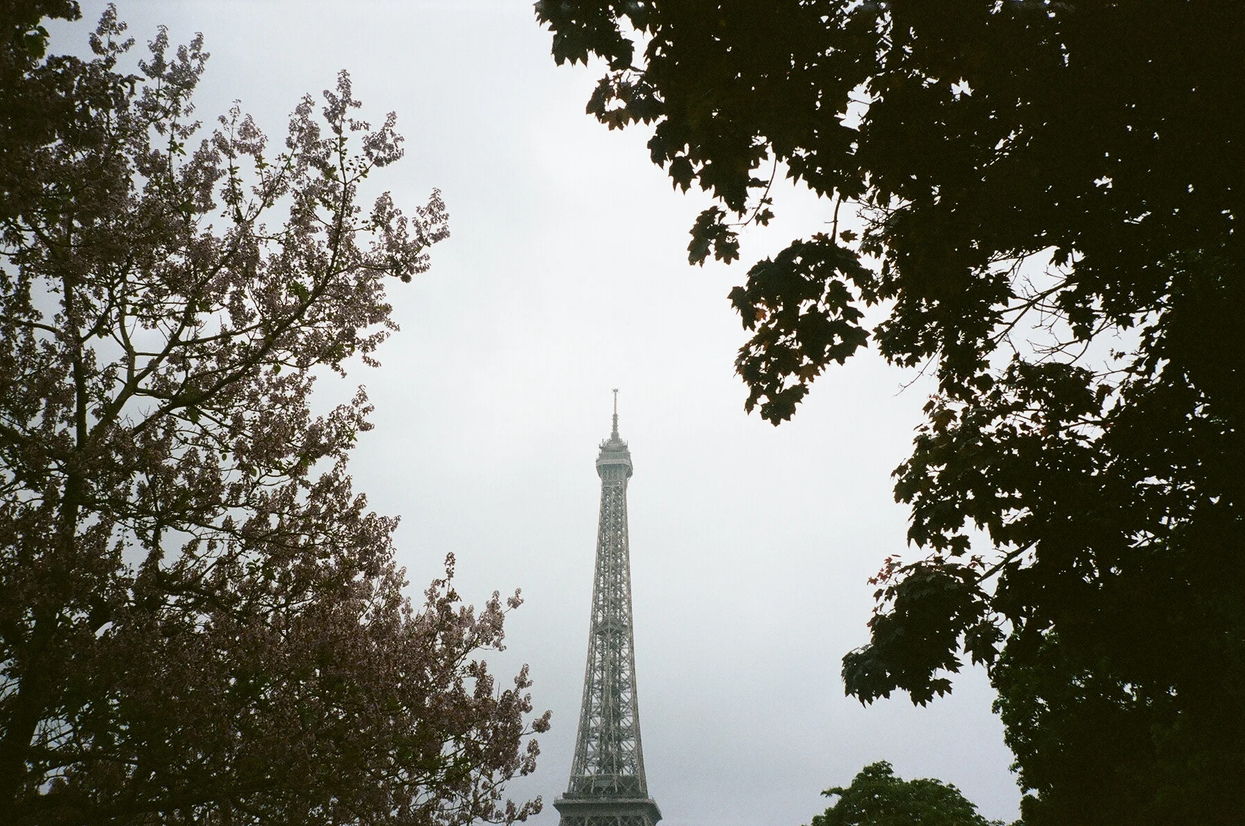 the eiffel tower