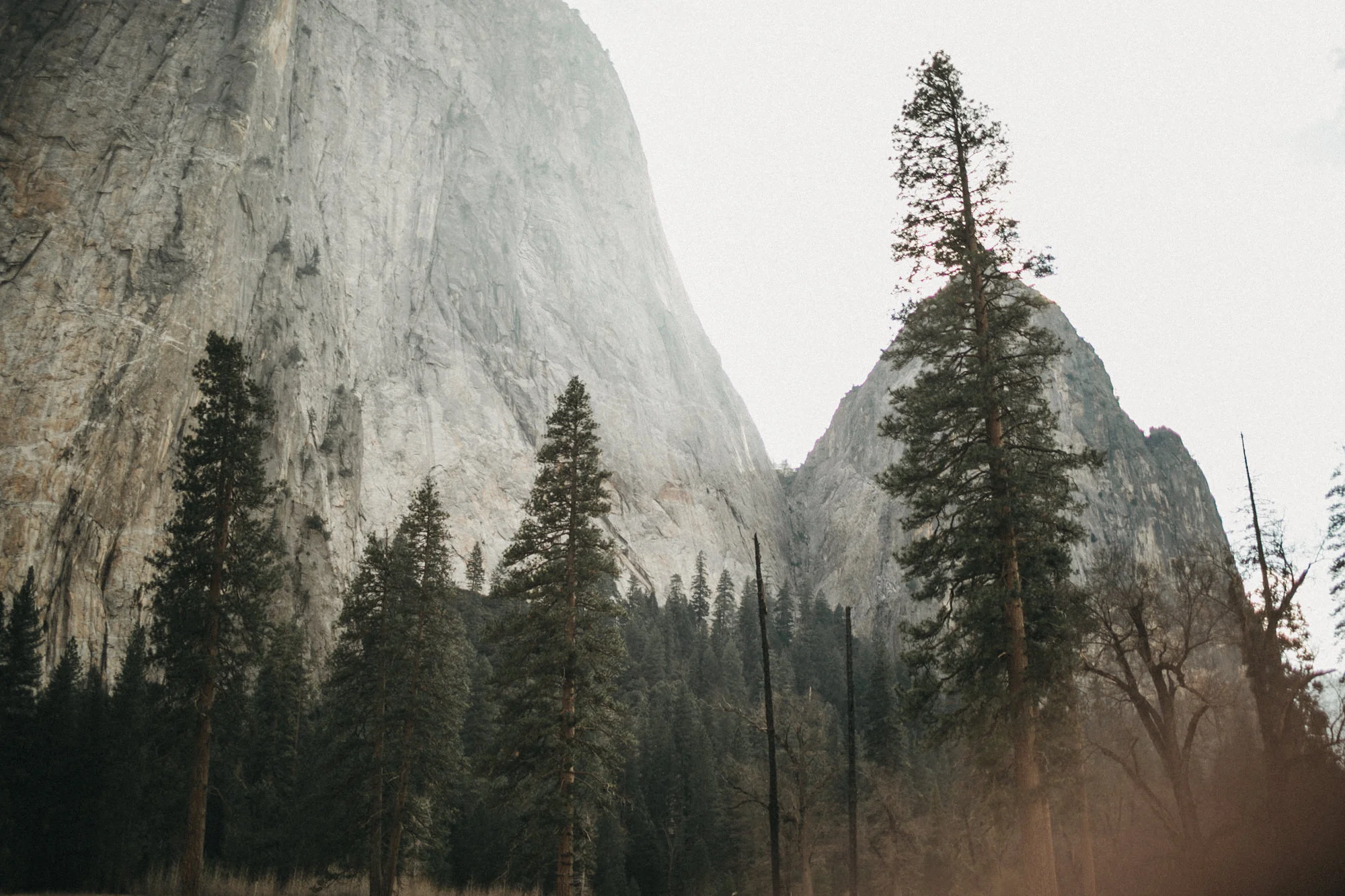 Yosemite National Park