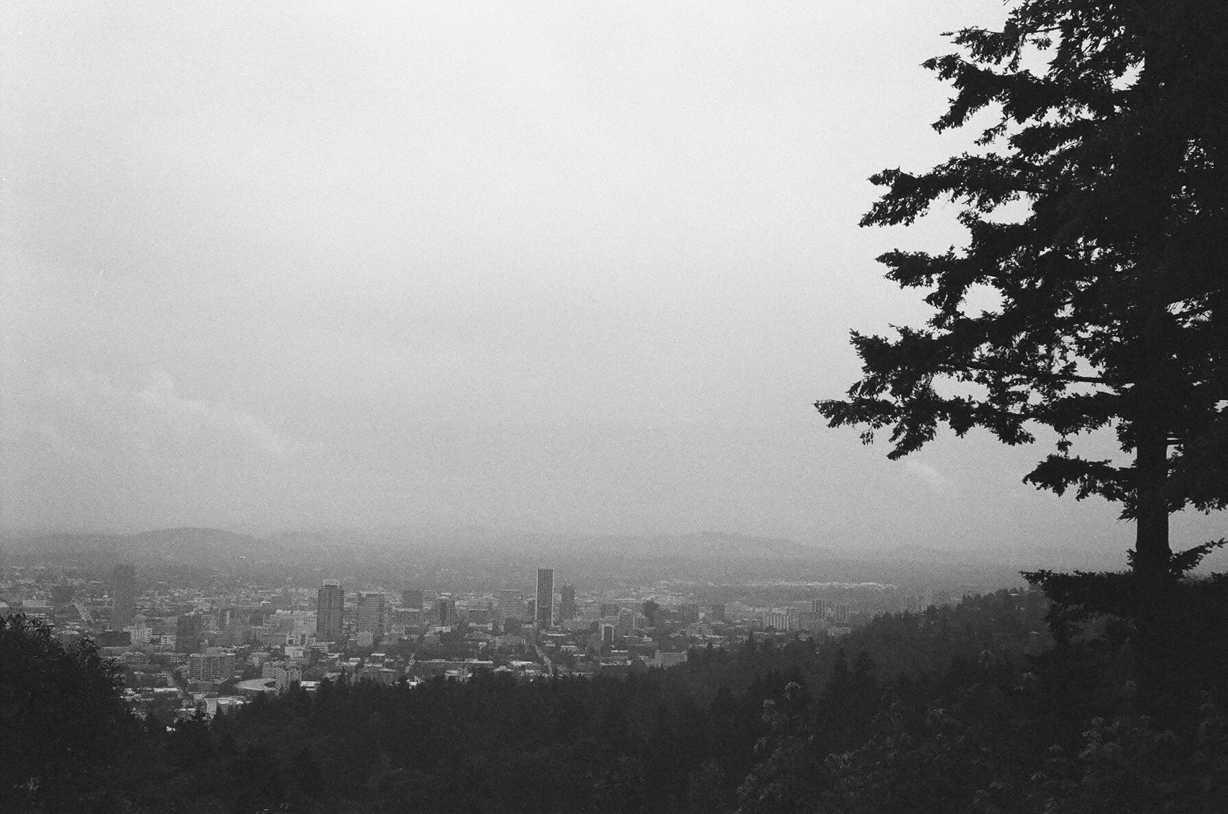 Oregon wedding photographer