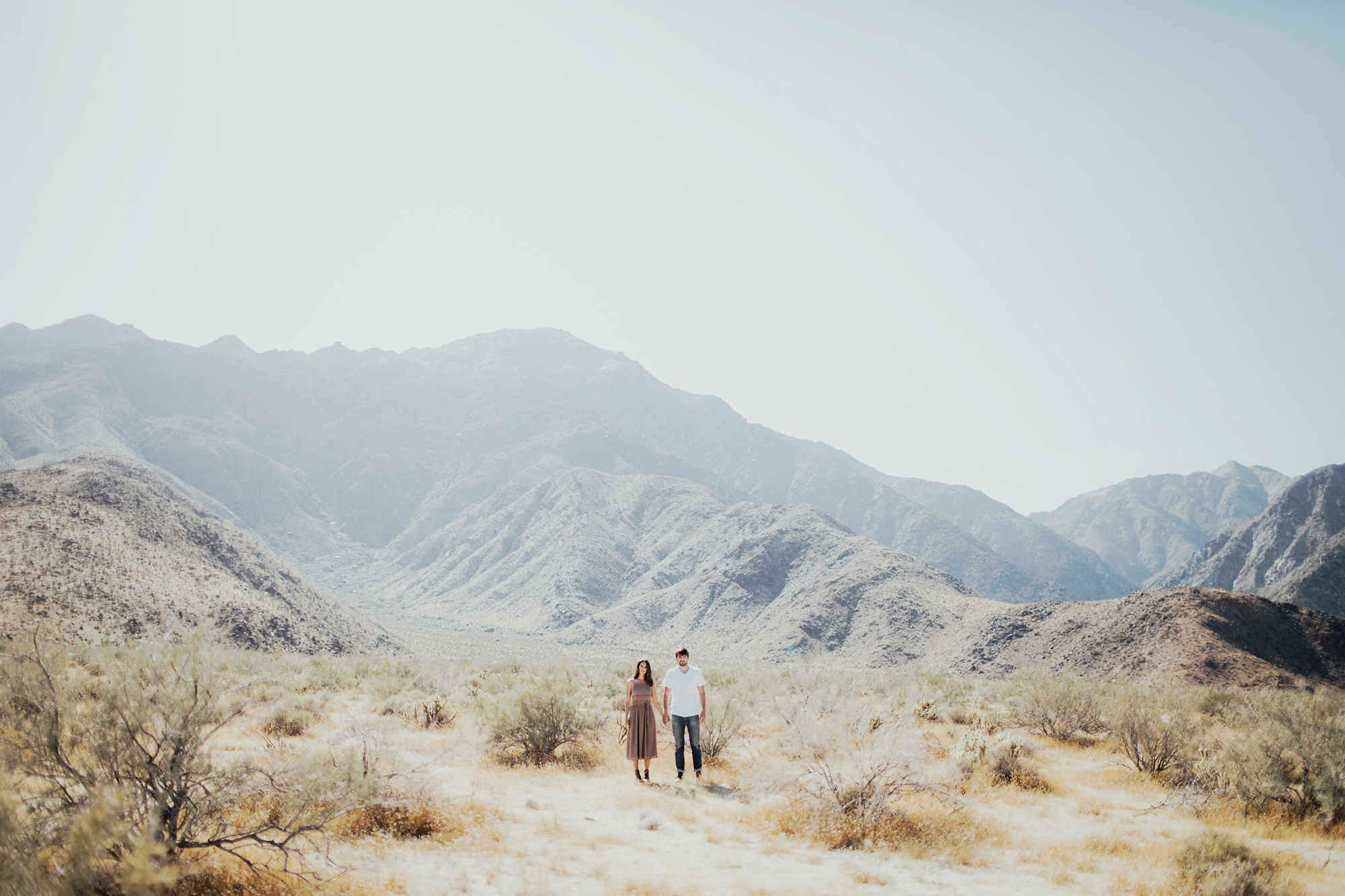 Anza Borrego Desert