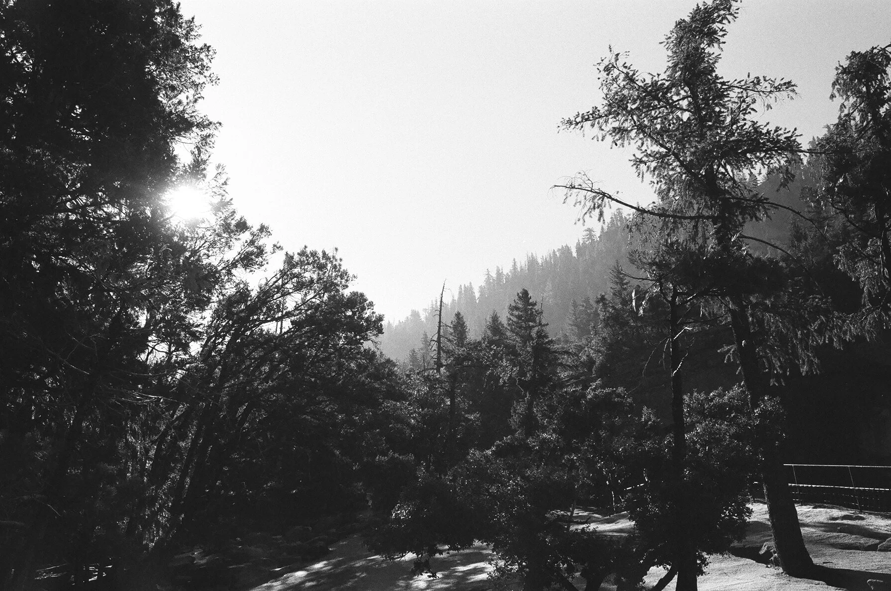 yosemite national park
