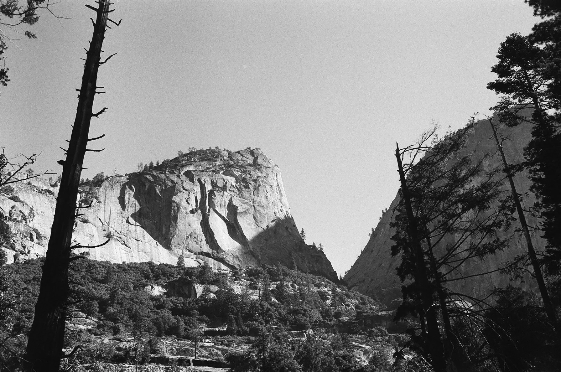 misty trail viewpoint