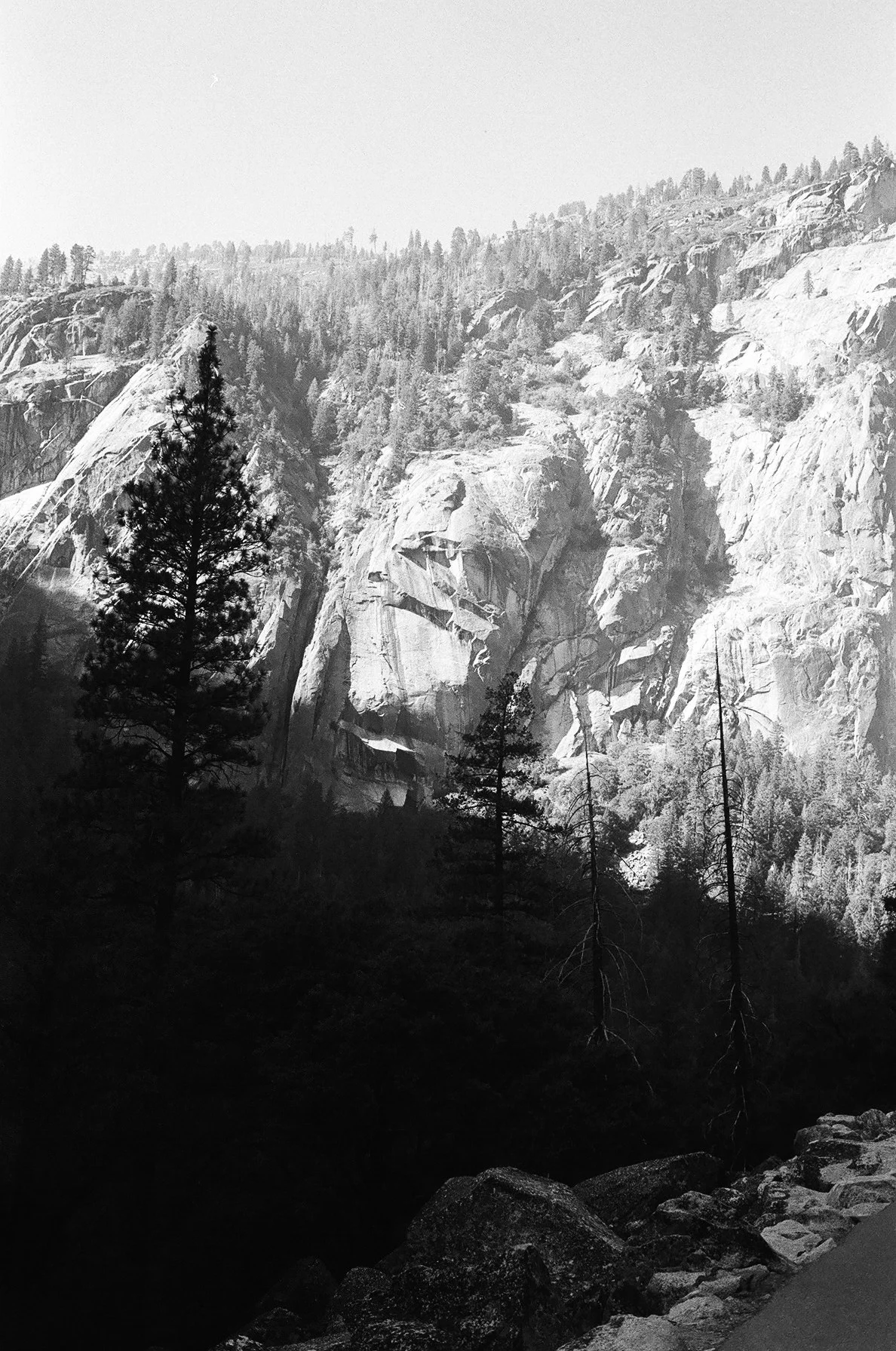 los angeles wedding photographer in yosemite