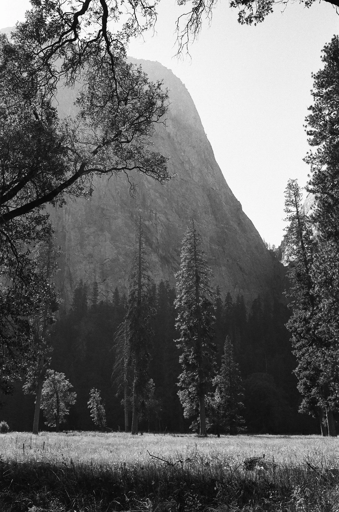 ilford hp5+ film photography