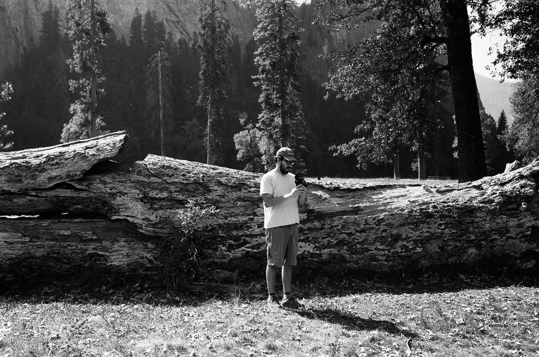 portland wedding photographer in yosemite