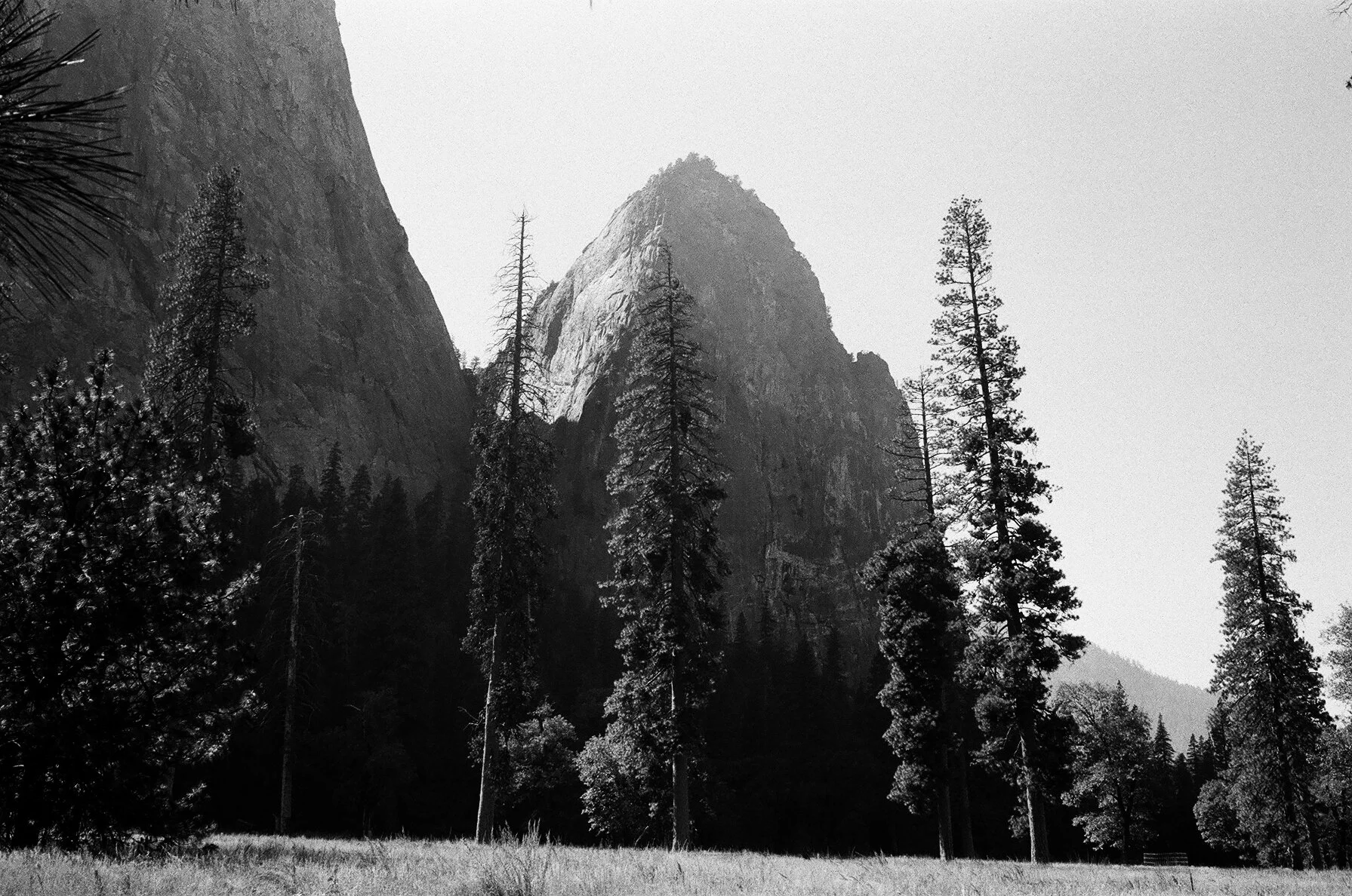 seattle wedding photographer in yosemite