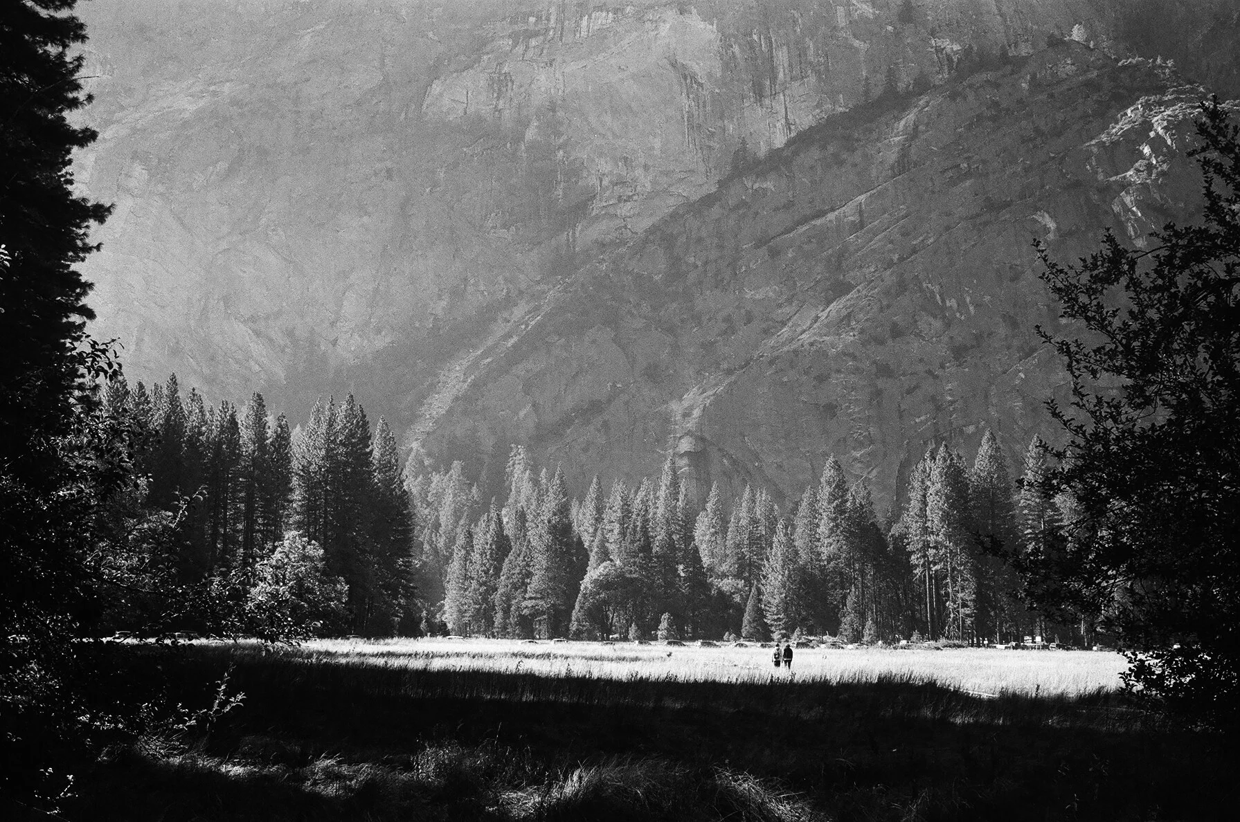sunlight in yosemite valley