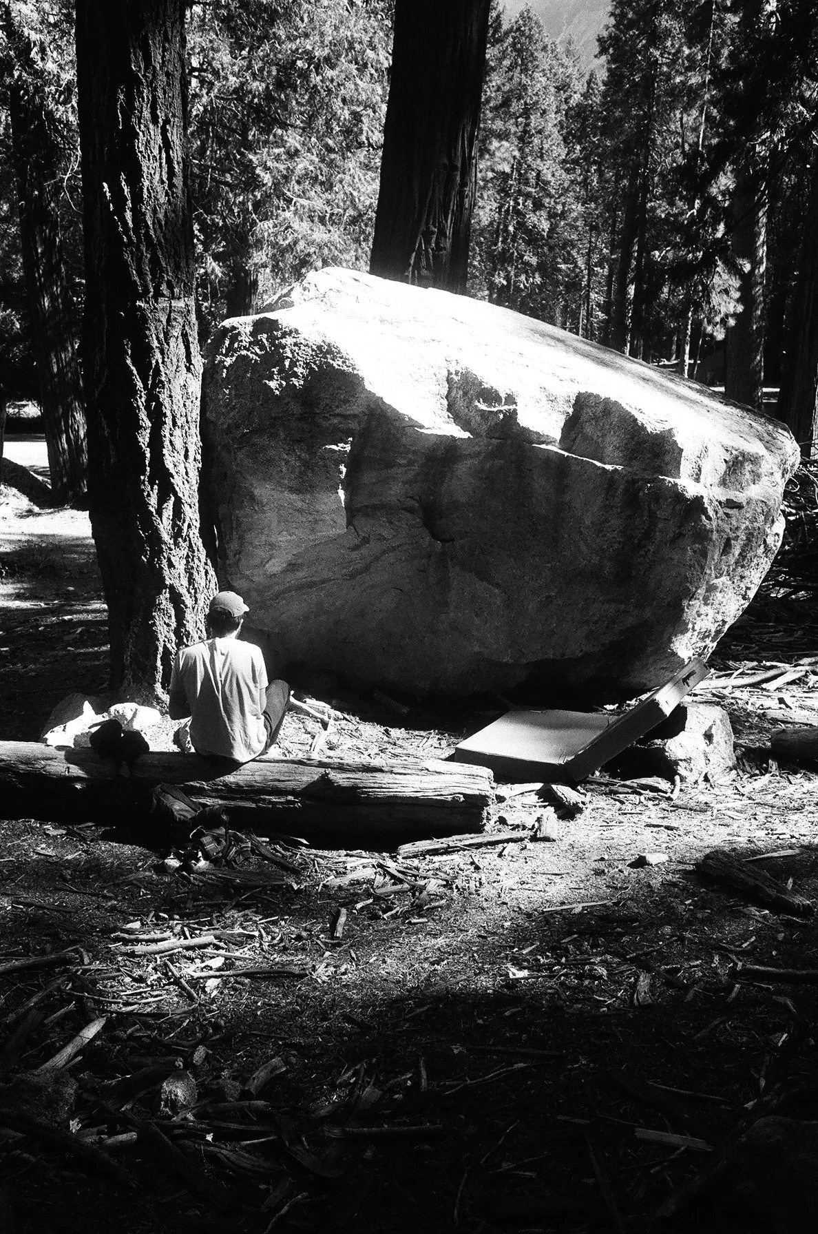 paris wedding photographer in yosemite valley