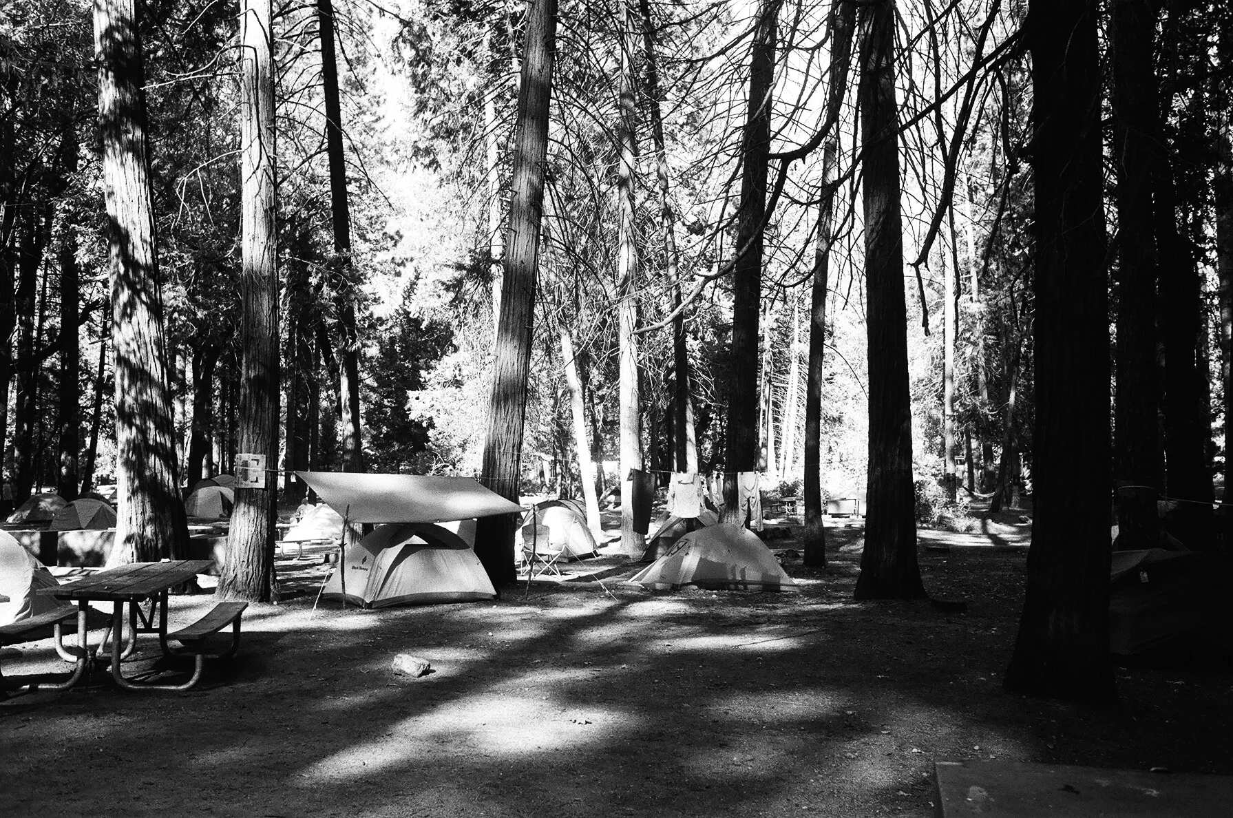 yosemite-wedding-photographer-053.JPG