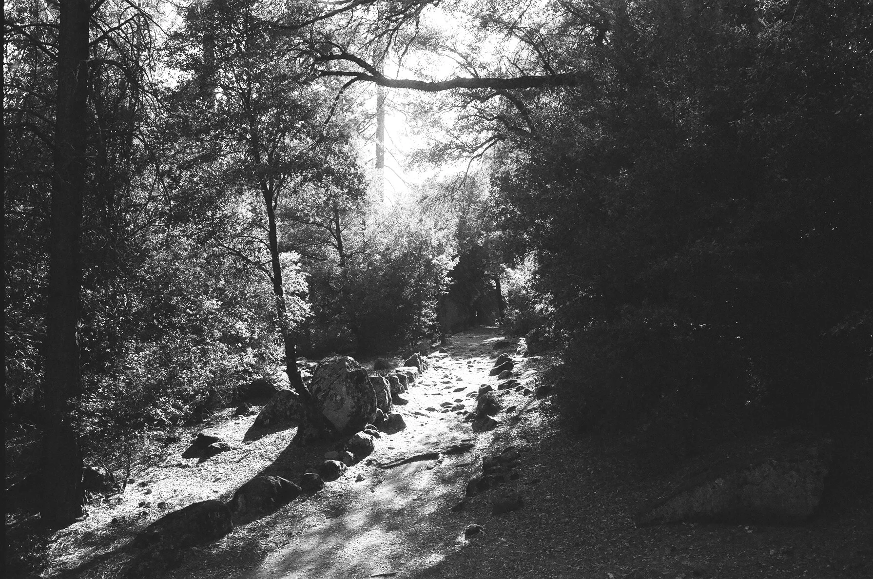 yosemite-wedding-photographer-054.JPG